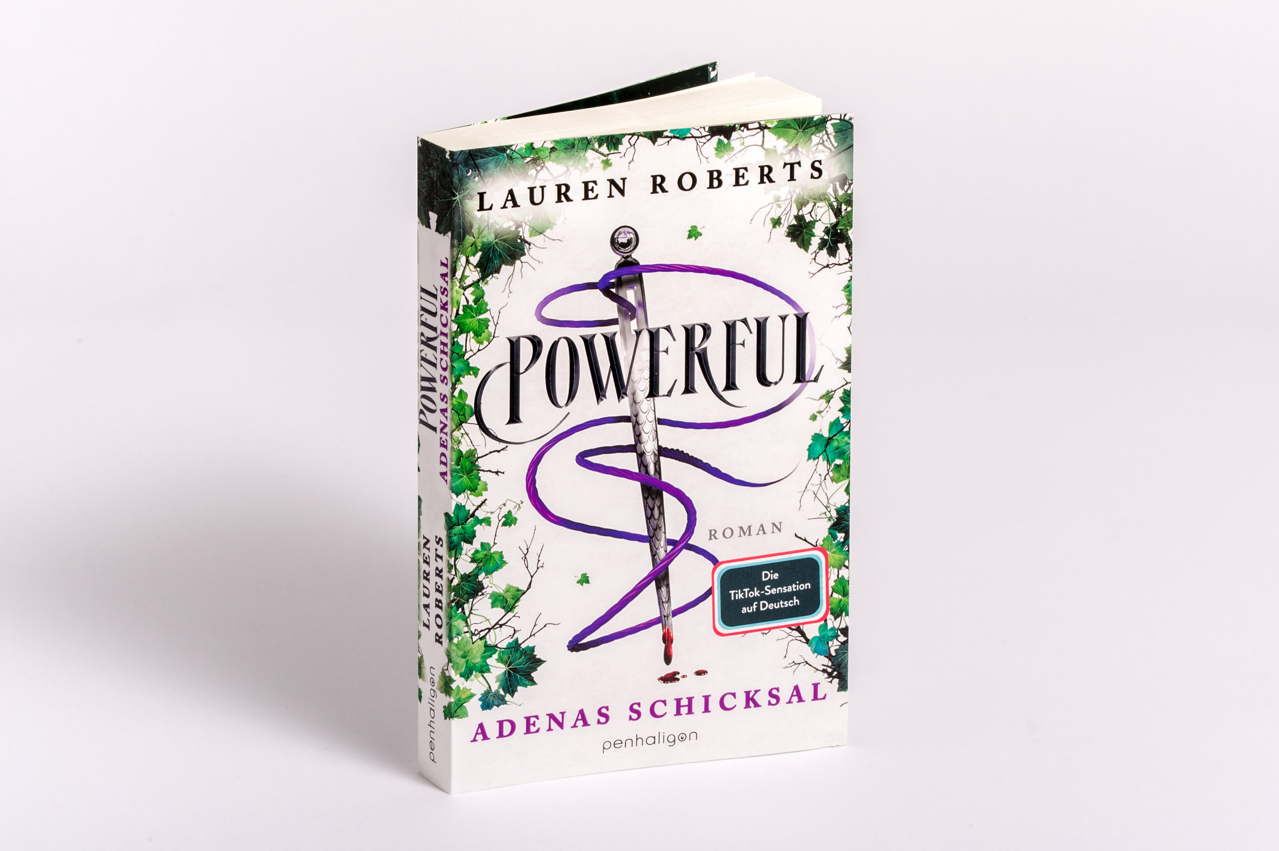 9783764533489_innenansicht_01 9783764533489_innenansicht_01.jpg