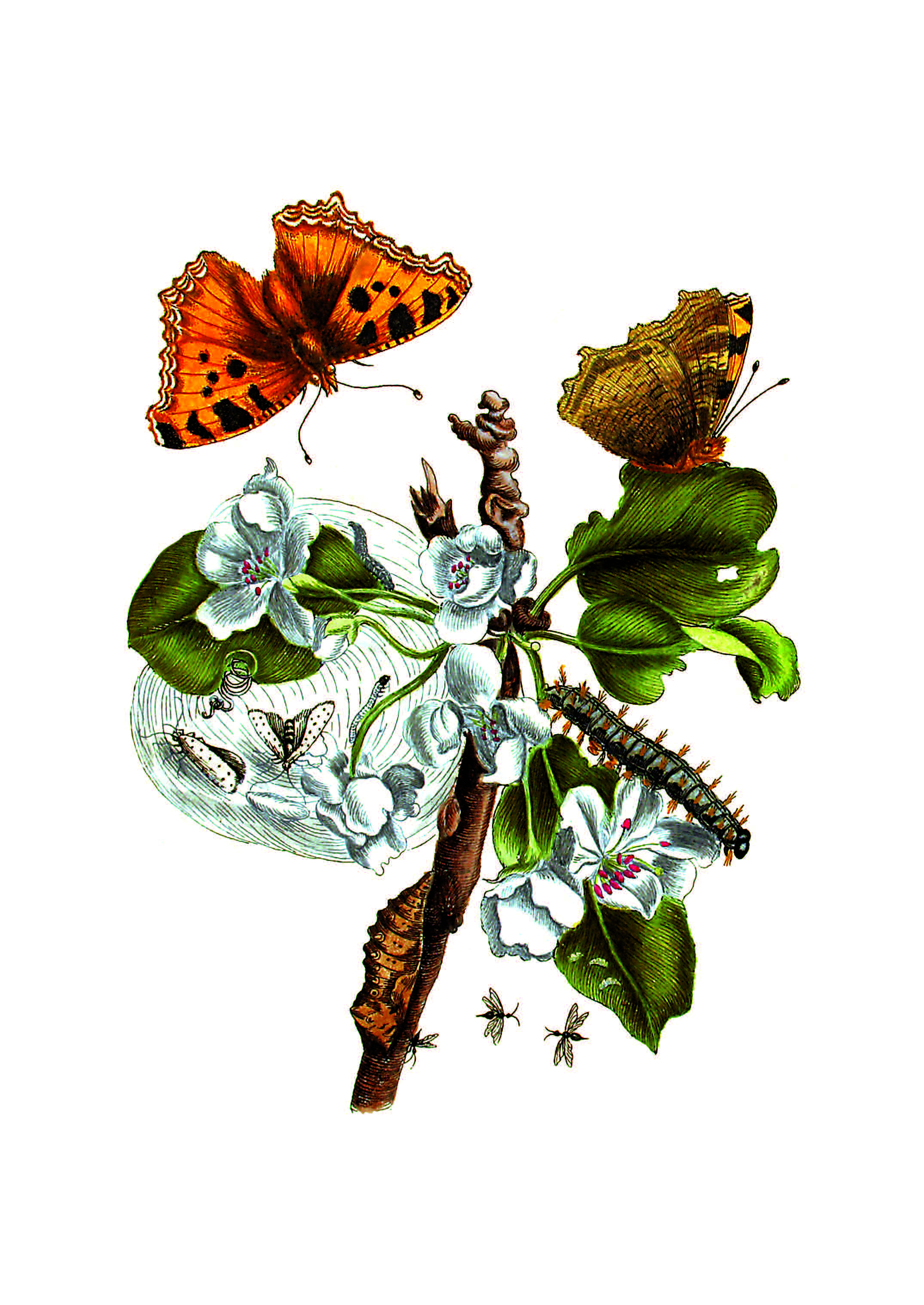 9783968492049_innenansicht_02 9783968492049_innenansicht_02.jpg