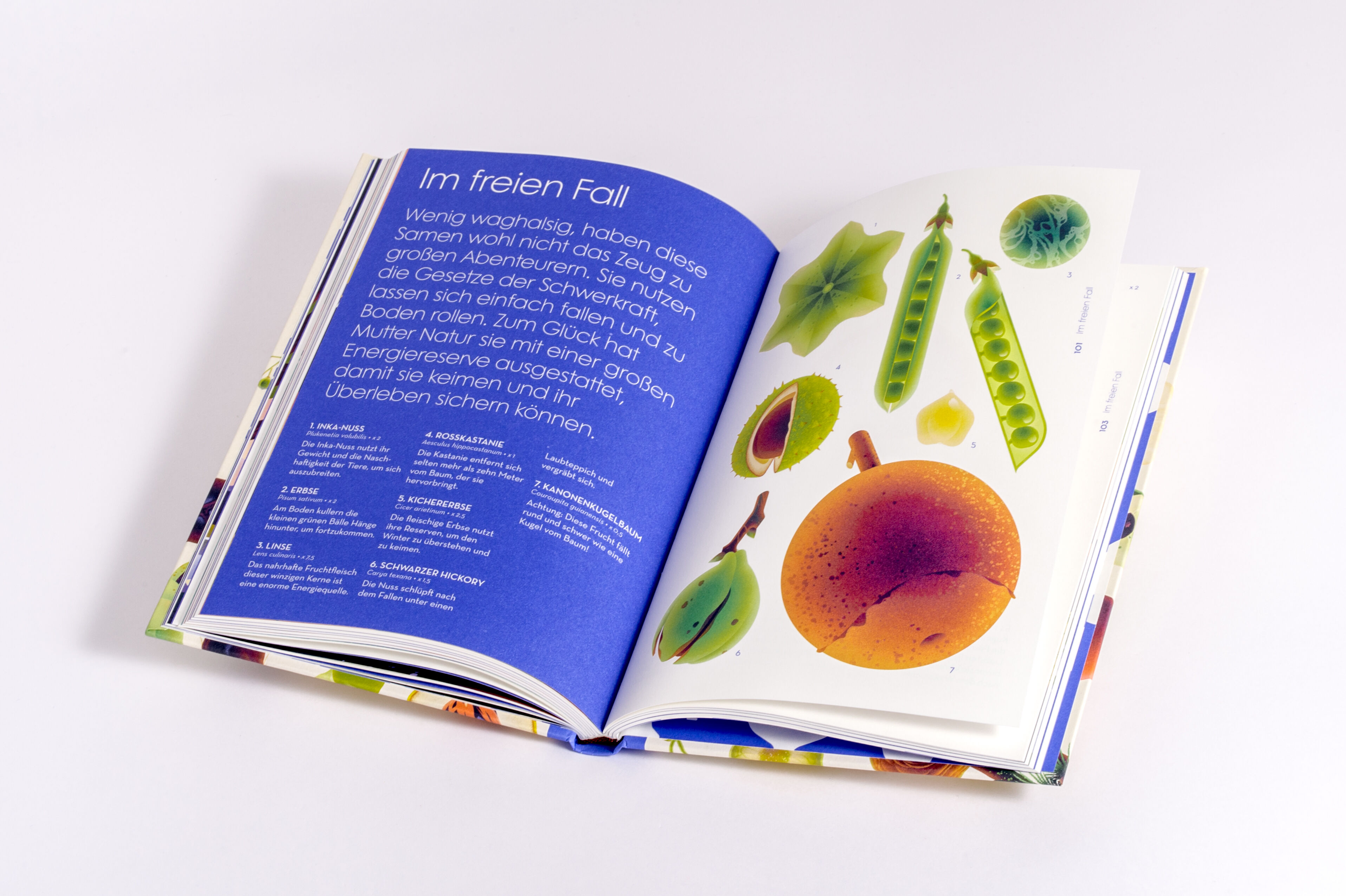 9783791376066_innenansicht_08 9783791376066_innenansicht_08.jpg