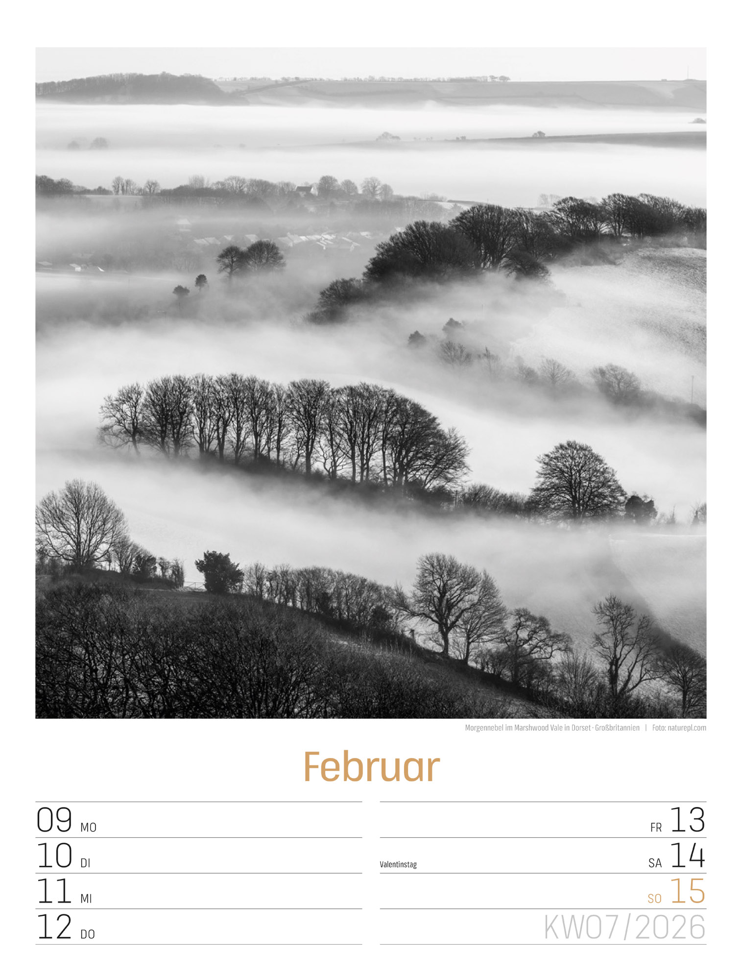 9783838436265_innenansicht_10 9783838436265_innenansicht_10.jpg