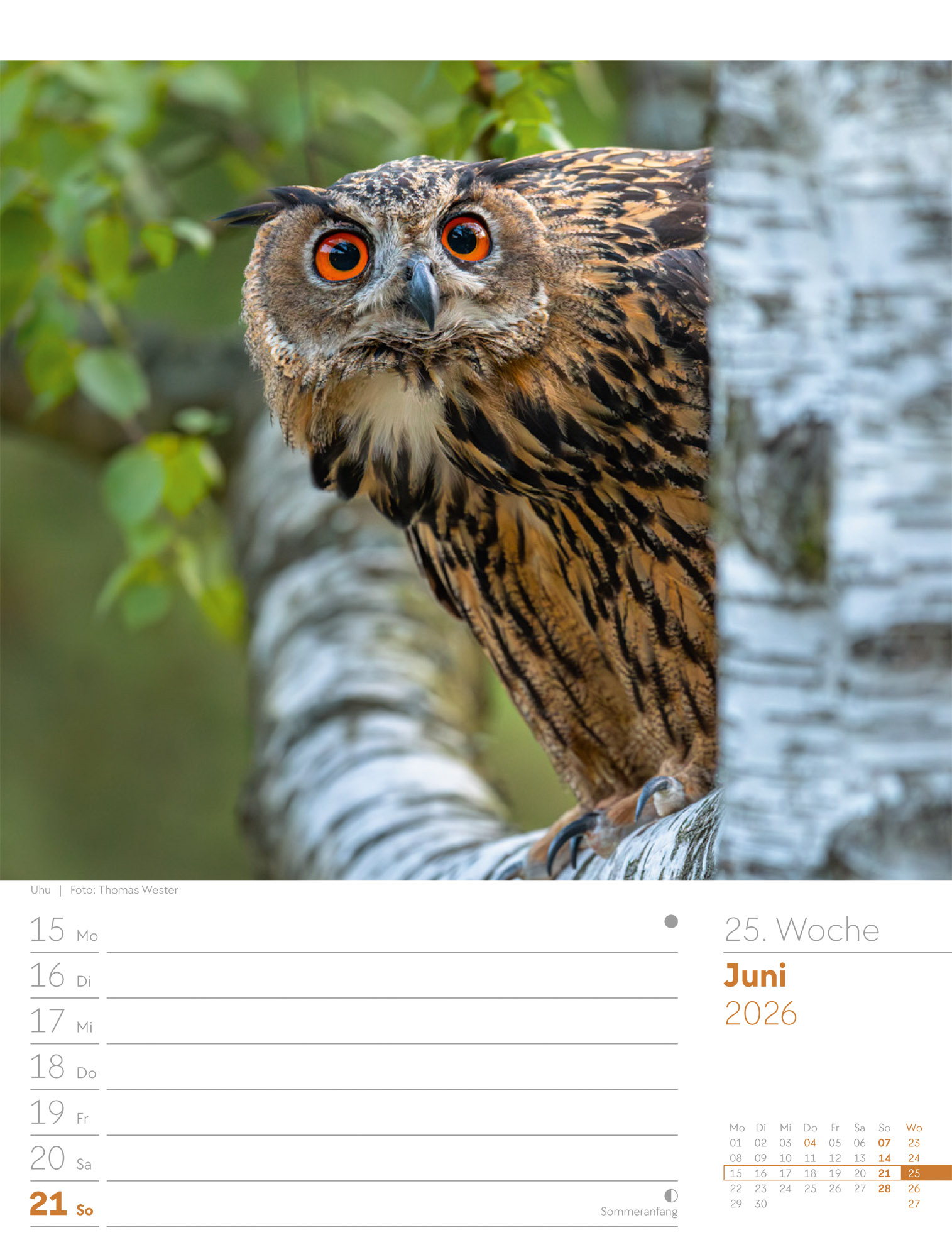 9783838426976_innenansicht_28 9783838426976_innenansicht_28.jpg