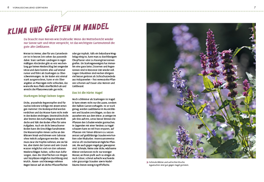 9783818617523_innenansicht_02 9783818617523_innenansicht_02.jpg