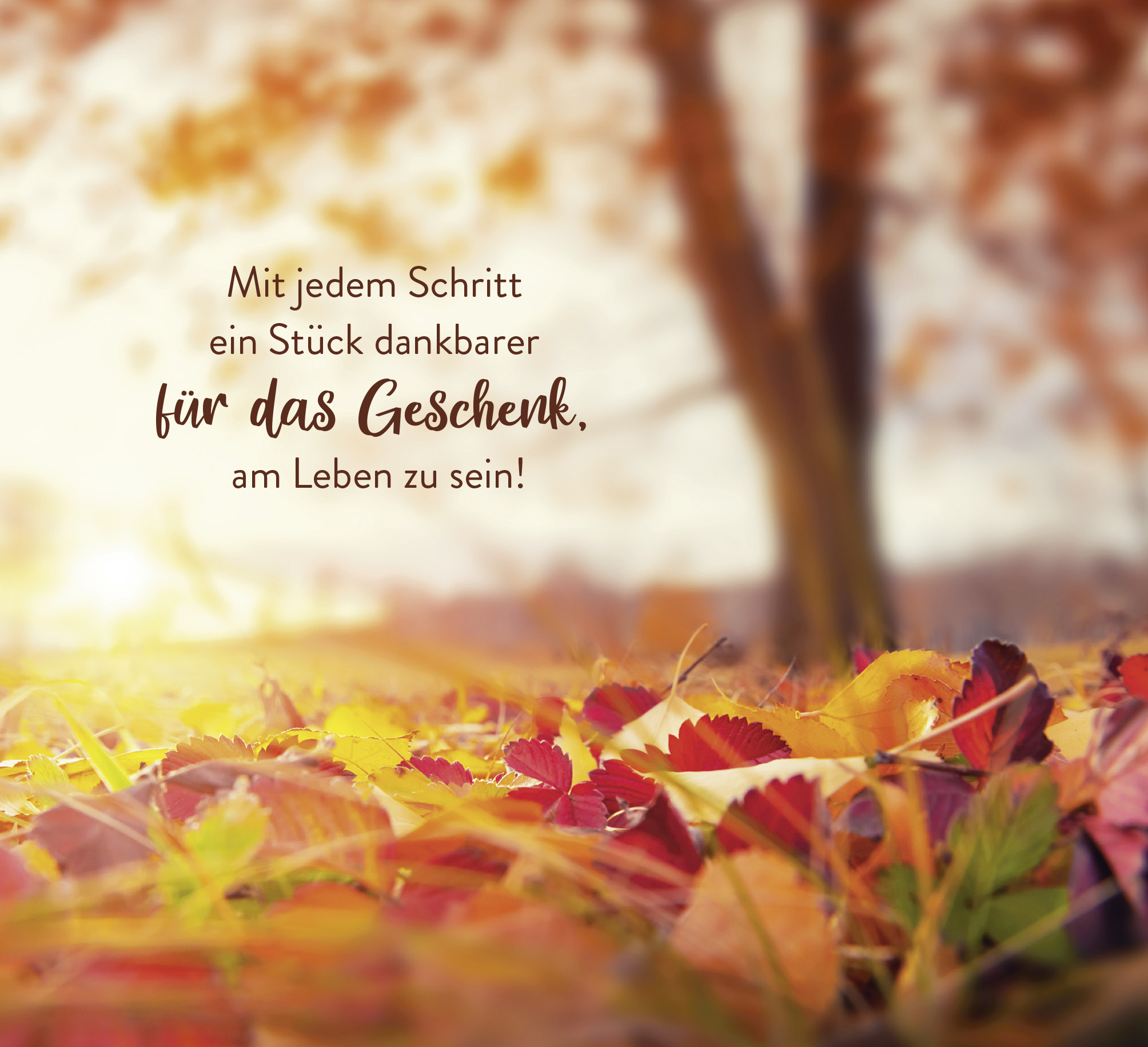 9783848502004_innenansicht_09.jpg