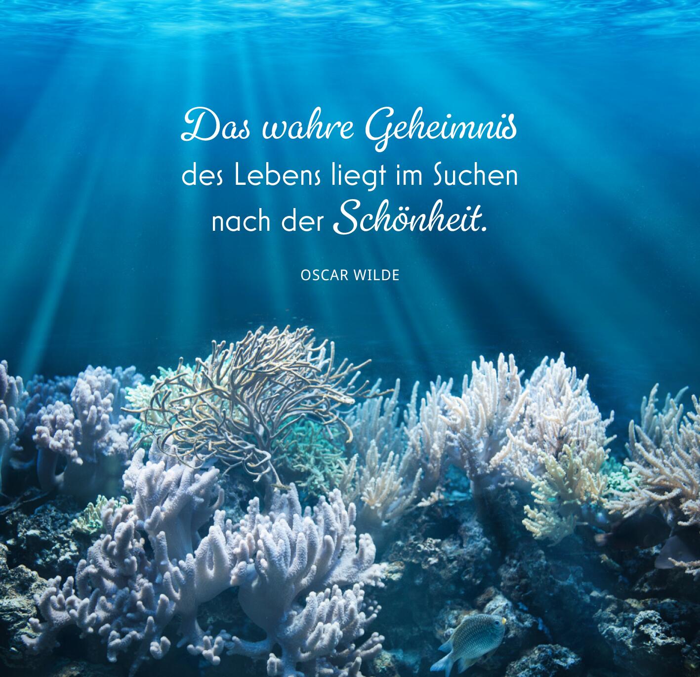 9783845862774_innenansicht_02.jpg