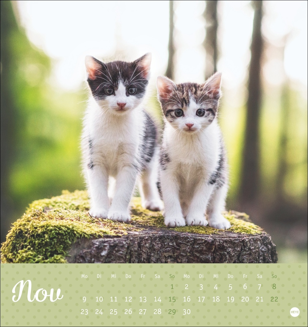 9783756410460_innenansicht_11 9783756410460_innenansicht_11.jpg