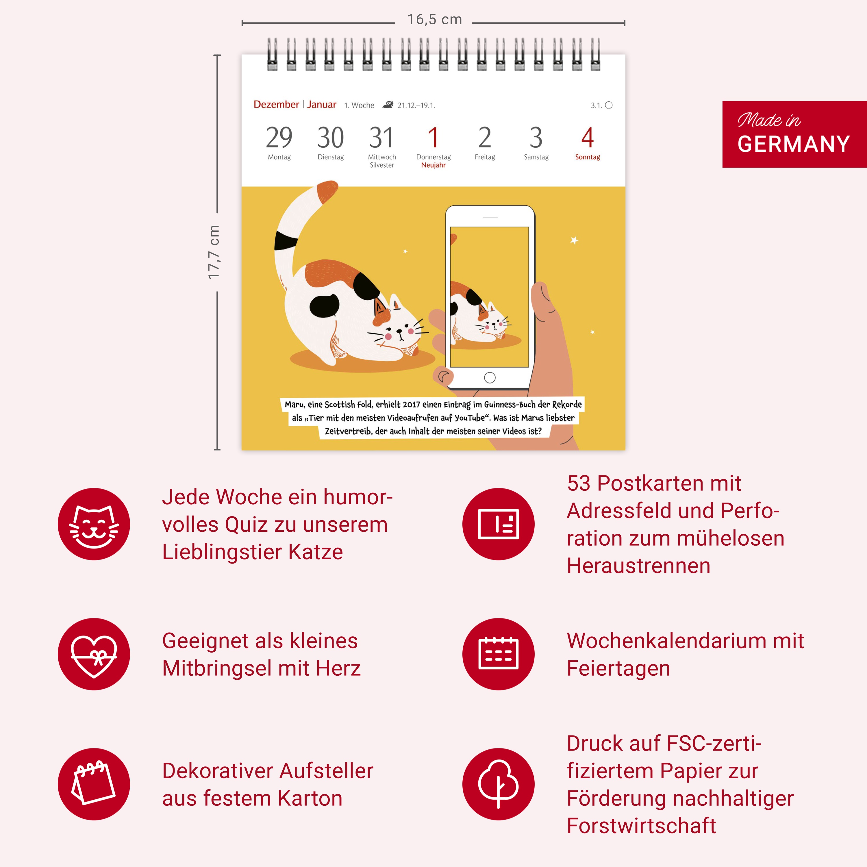 9783840037900_innenansicht_14.jpg