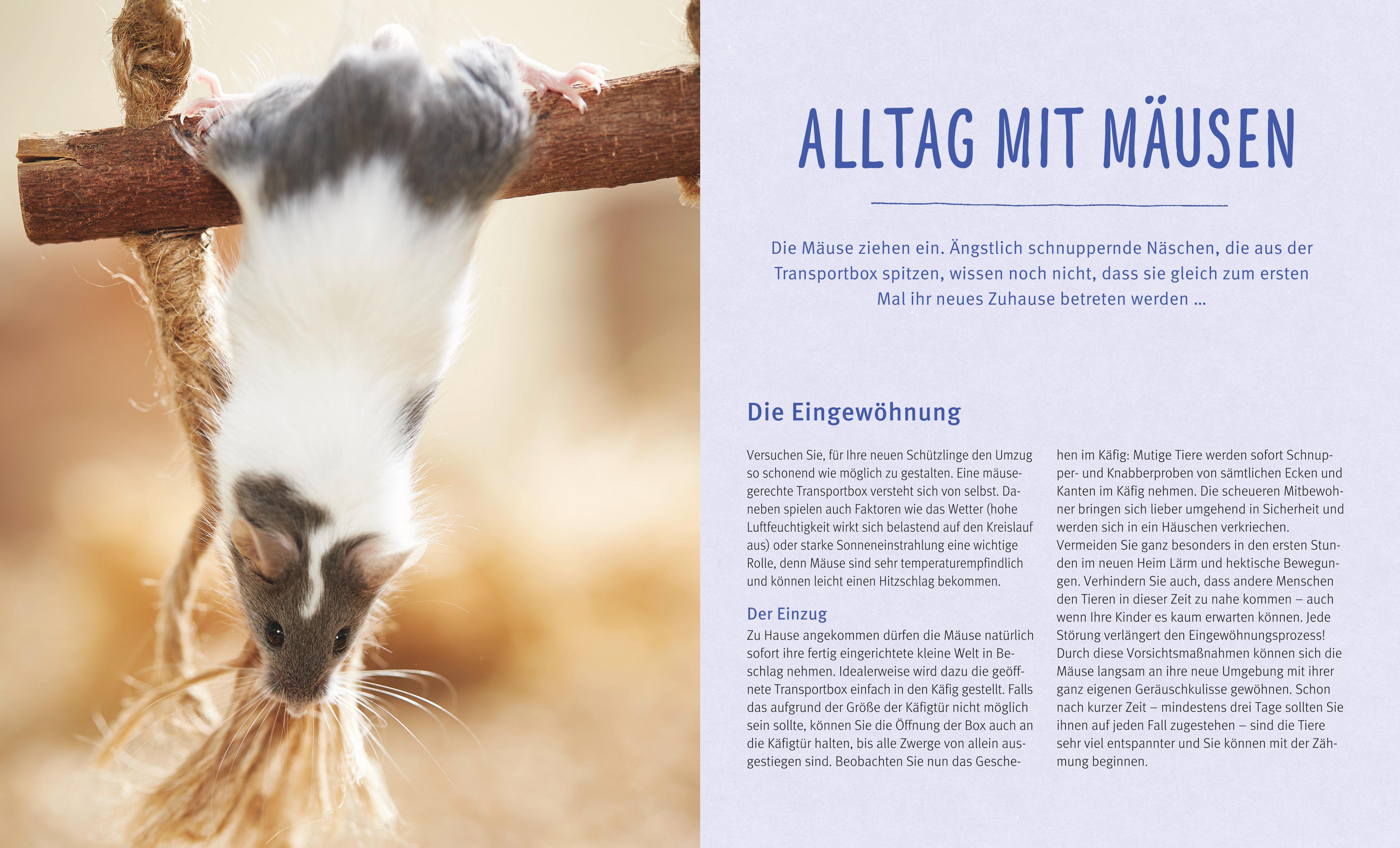 9783833855122_innenansicht_03.jpg