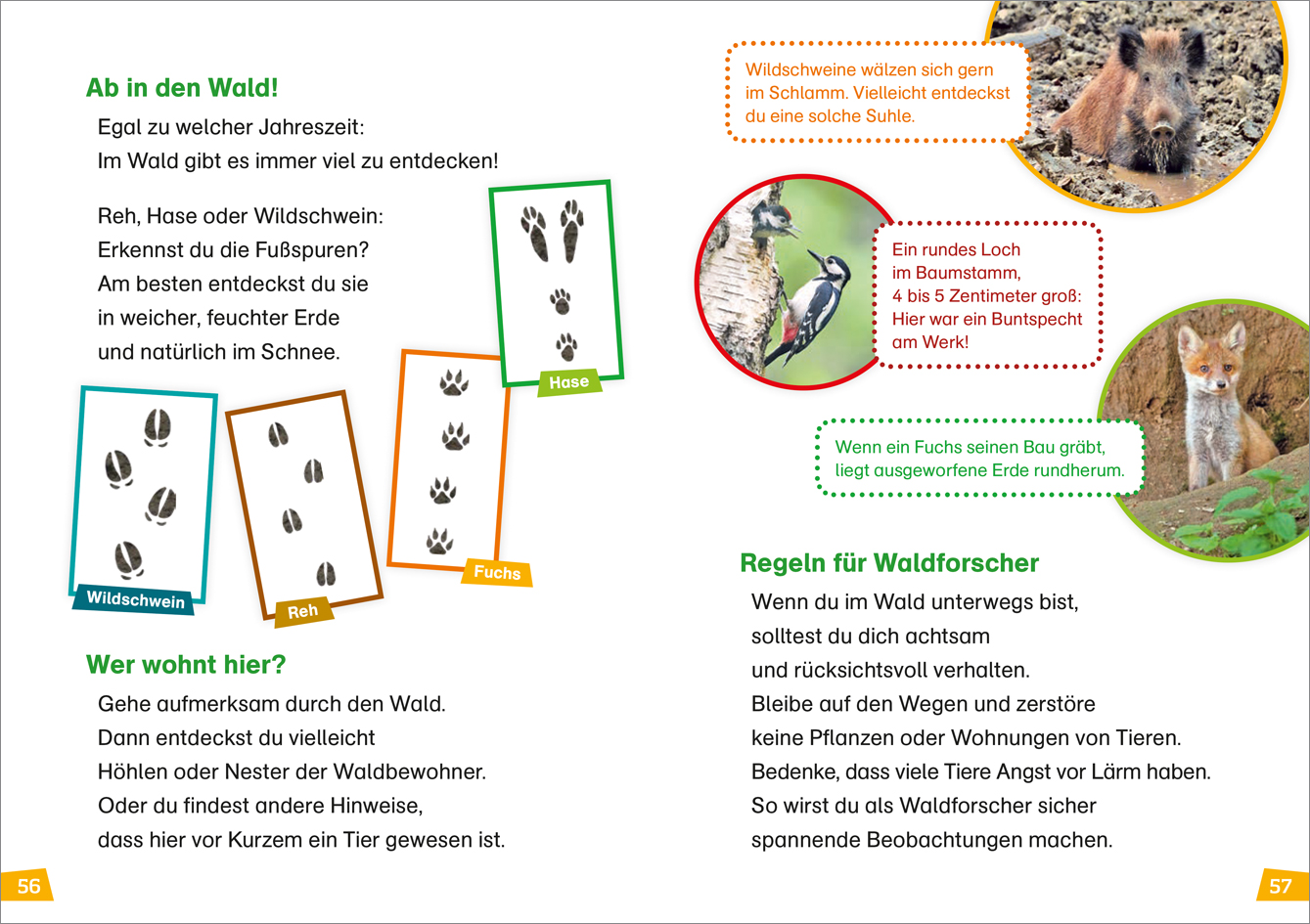 9783788626426_innenansicht_07 9783788626426_innenansicht_07.jpg