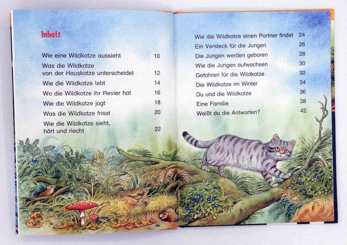 9783401715735_innenansicht_04.jpg