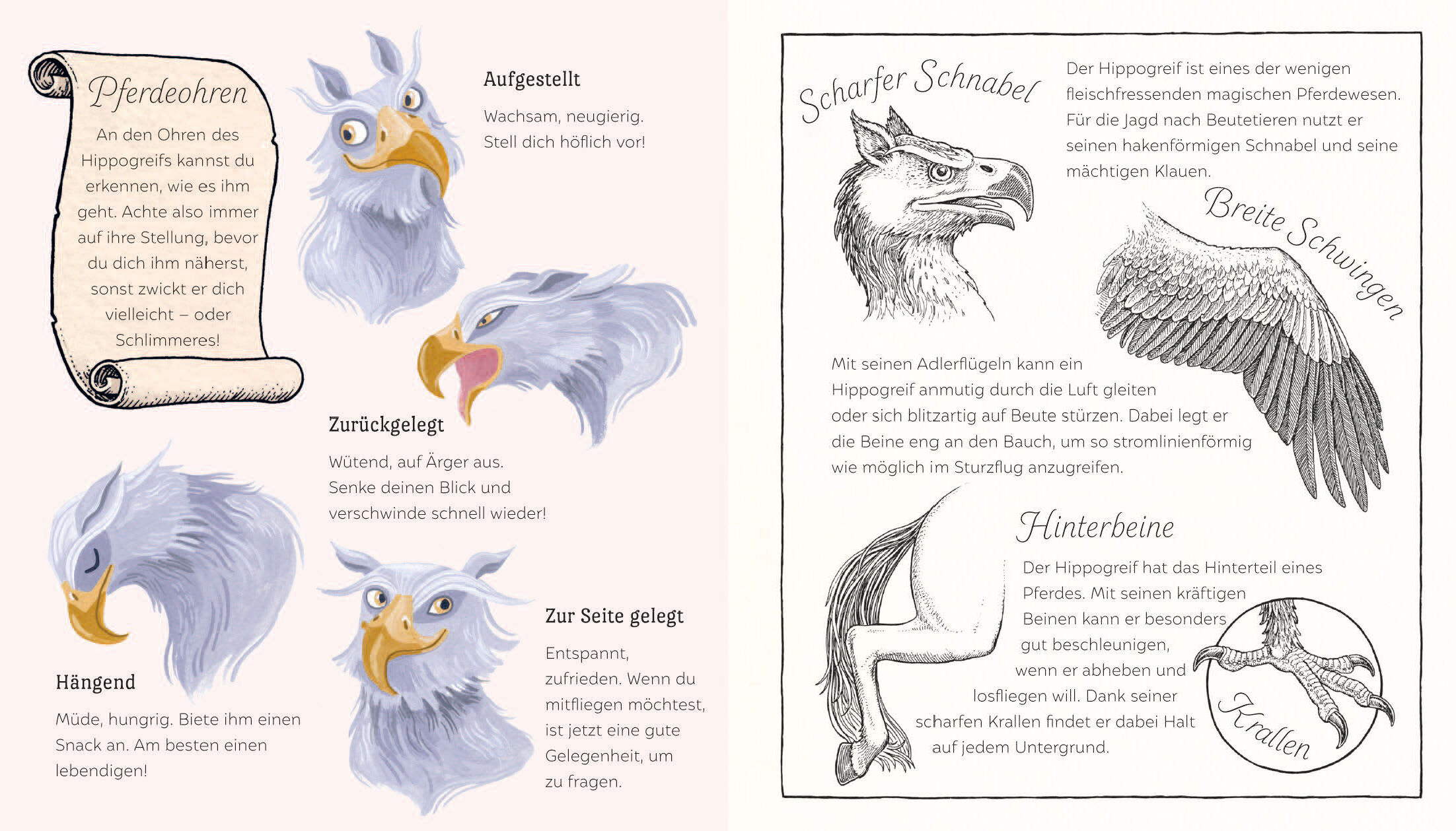 9783791375519_innenansicht_13 9783791375519_innenansicht_13.jpg