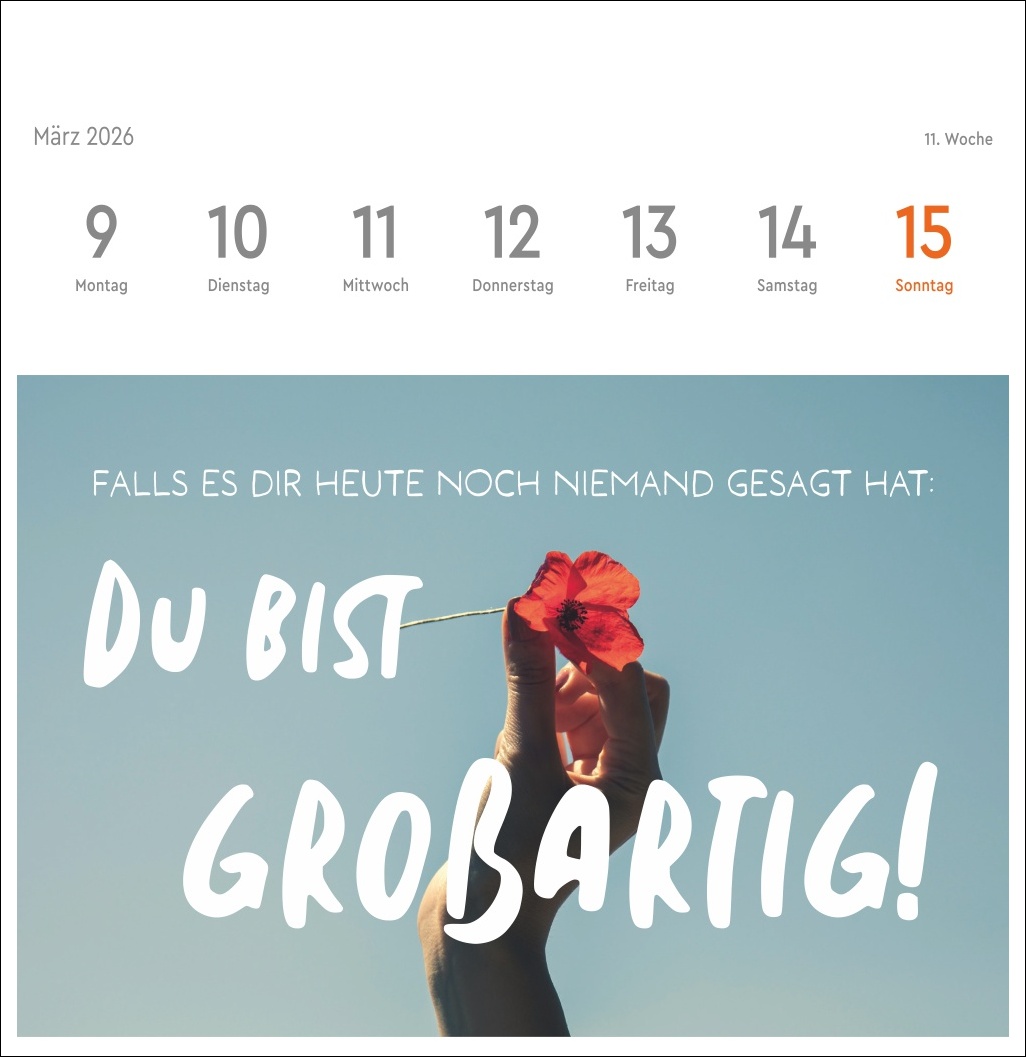 9783756412617_innenansicht_11.jpg