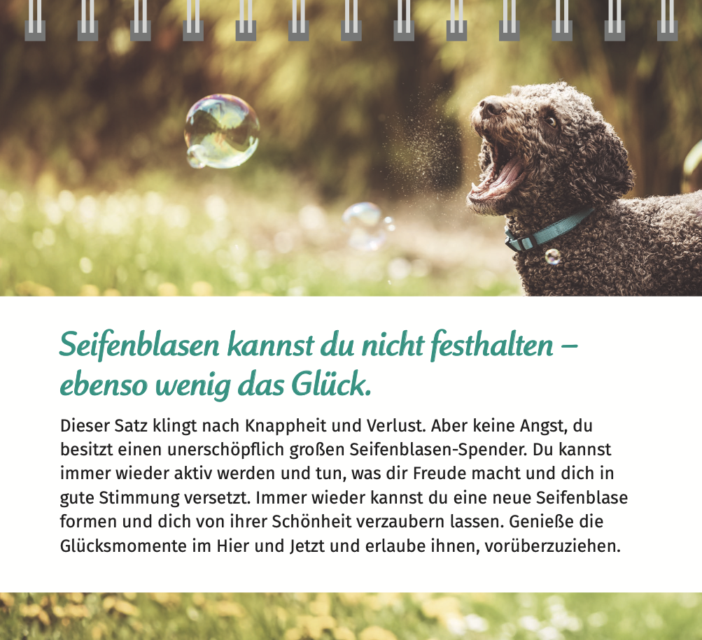 9783910294516_innenansicht_04.png