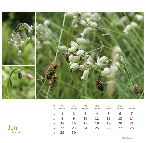 9783861925163_innenansicht_06 9783861925163_innenansicht_06.jpg