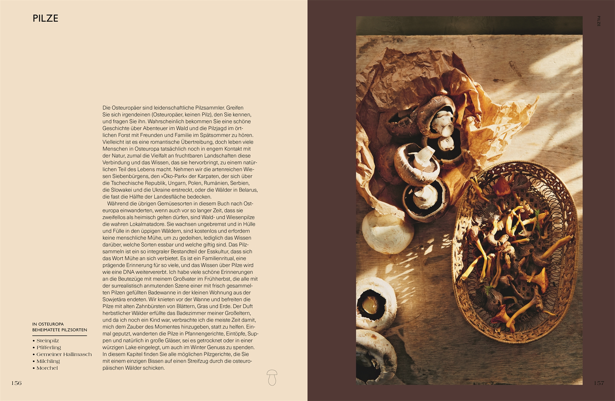 9783831051793_innenansicht_08 9783831051793_innenansicht_08.jpg