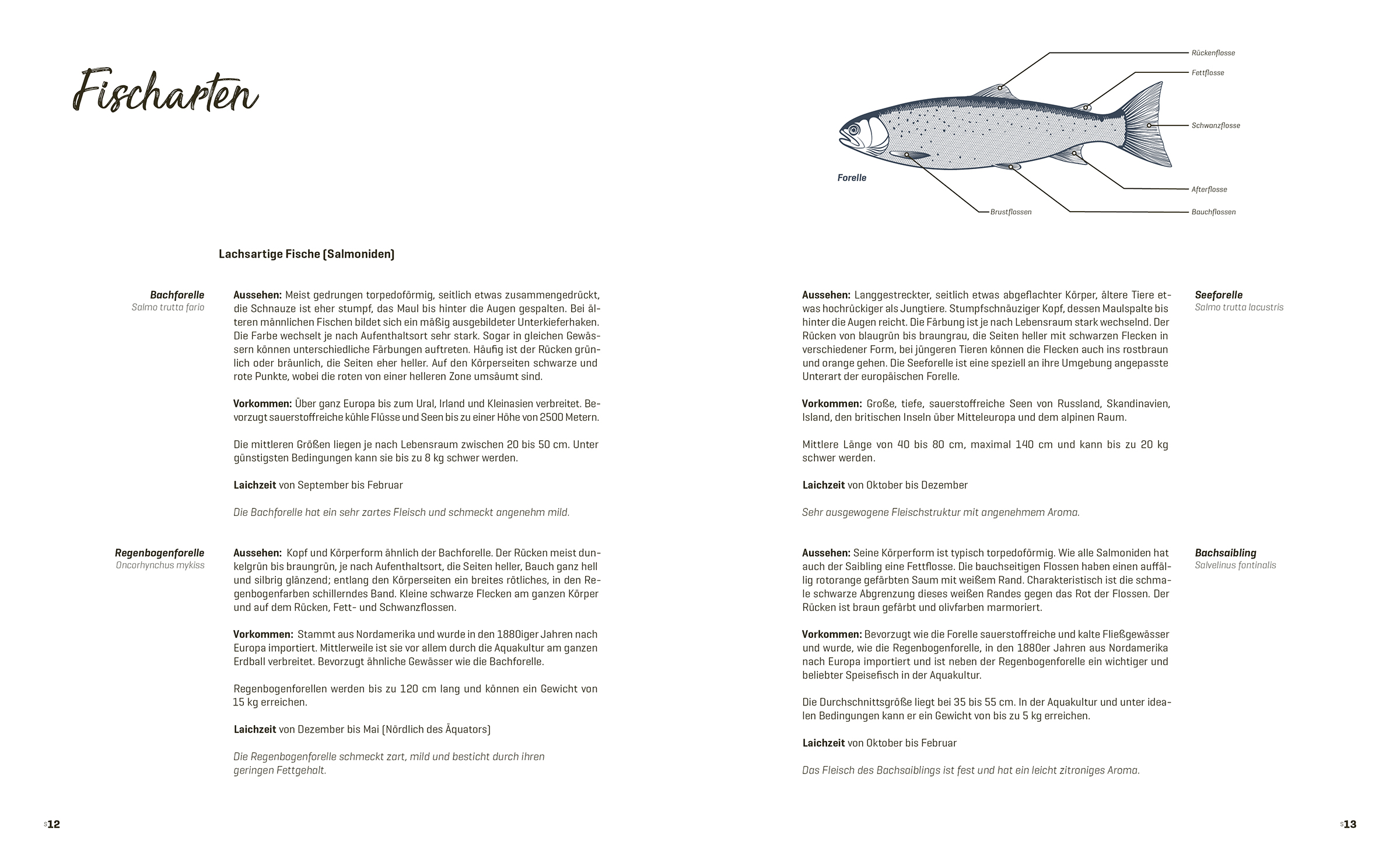 9783706626347_innenansicht_02 9783706626347_innenansicht_02.jpg