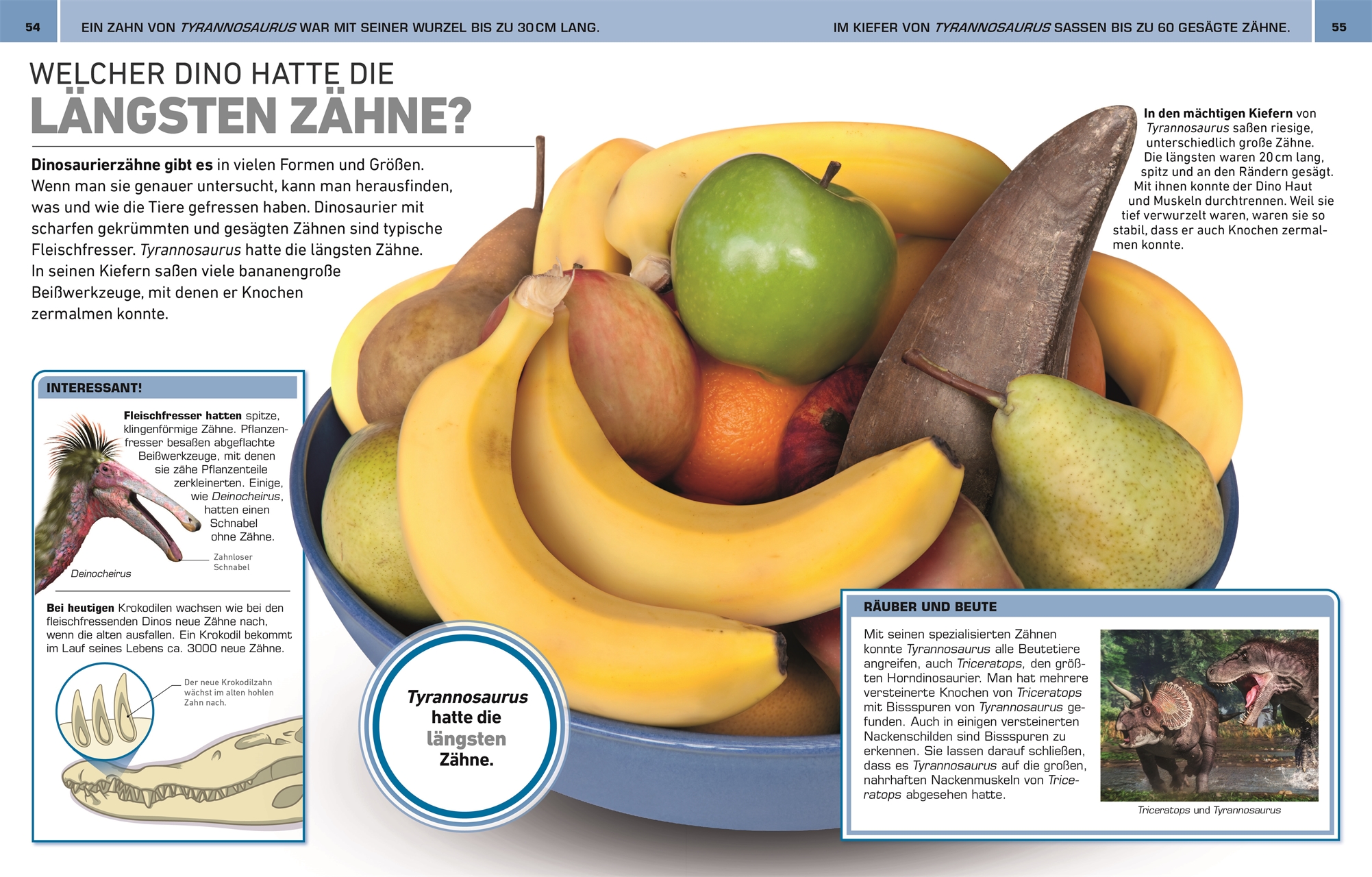 9783831047390_innenansicht_01 9783831047390_innenansicht_01.jpg