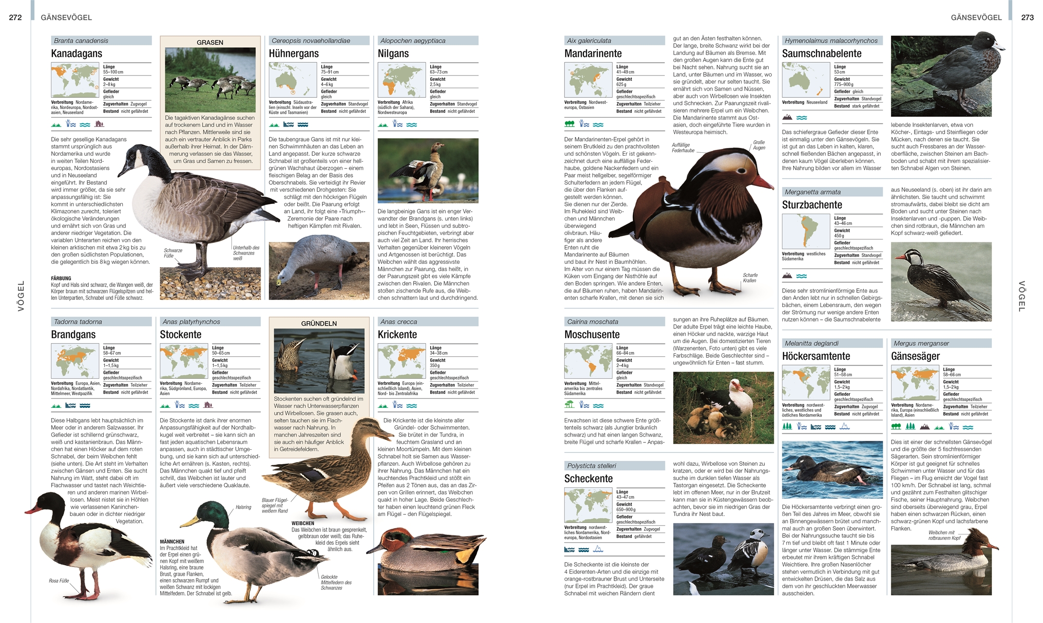 9783831048489_innenansicht_09 9783831048489_innenansicht_09.jpg