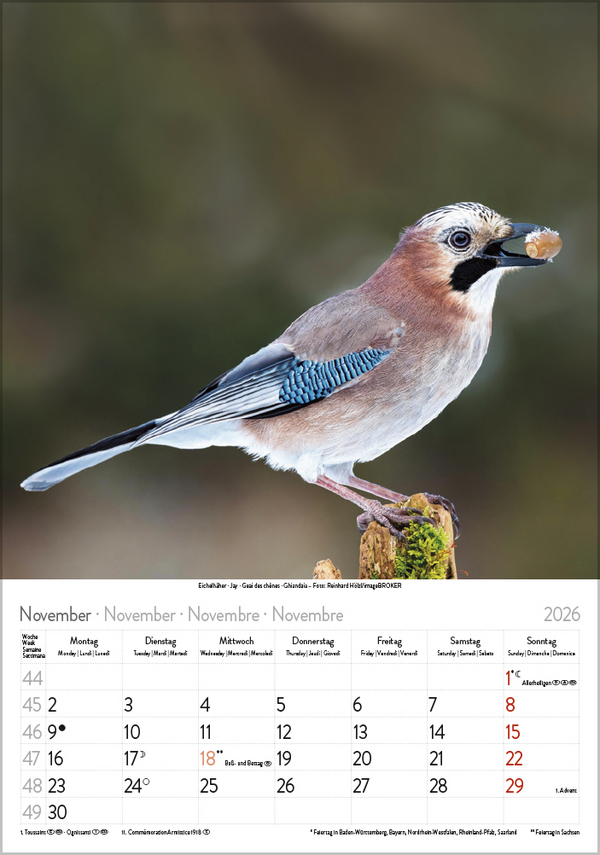 9783731883647_innenansicht_11 9783731883647_innenansicht_11.jpg