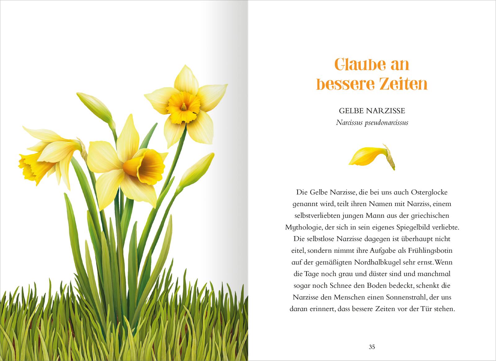 9783845857725_innenansicht_01 9783845857725_innenansicht_01.jpg