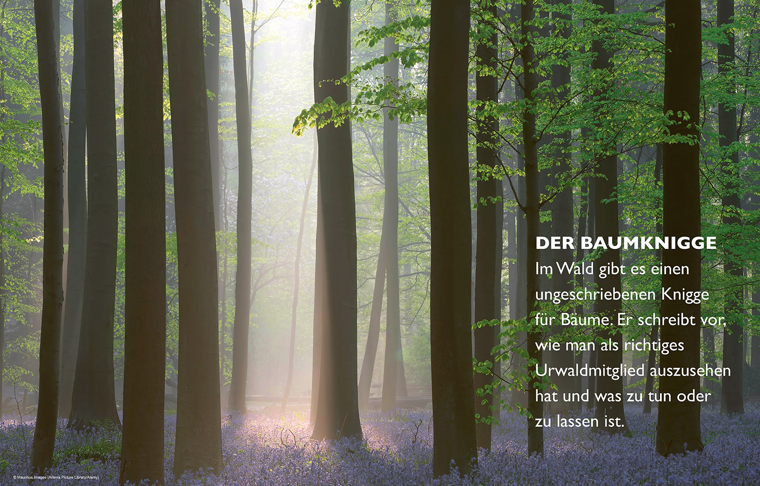 9783453280885_innenansicht_02.jpg