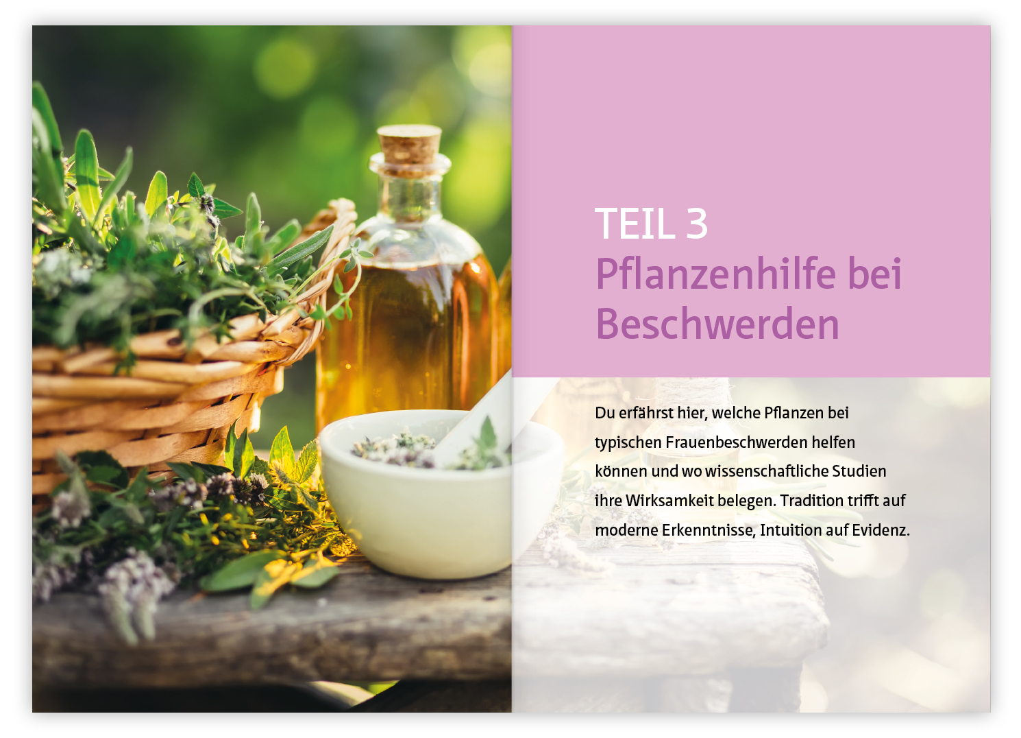 9783863747756_innenansicht_04.jpg