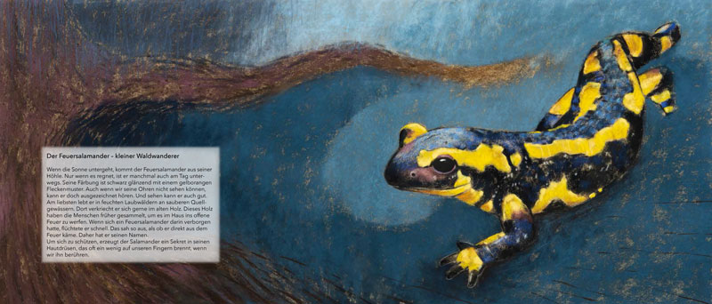 9783963040429_innenansicht_04 9783963040429_innenansicht_04.jpg