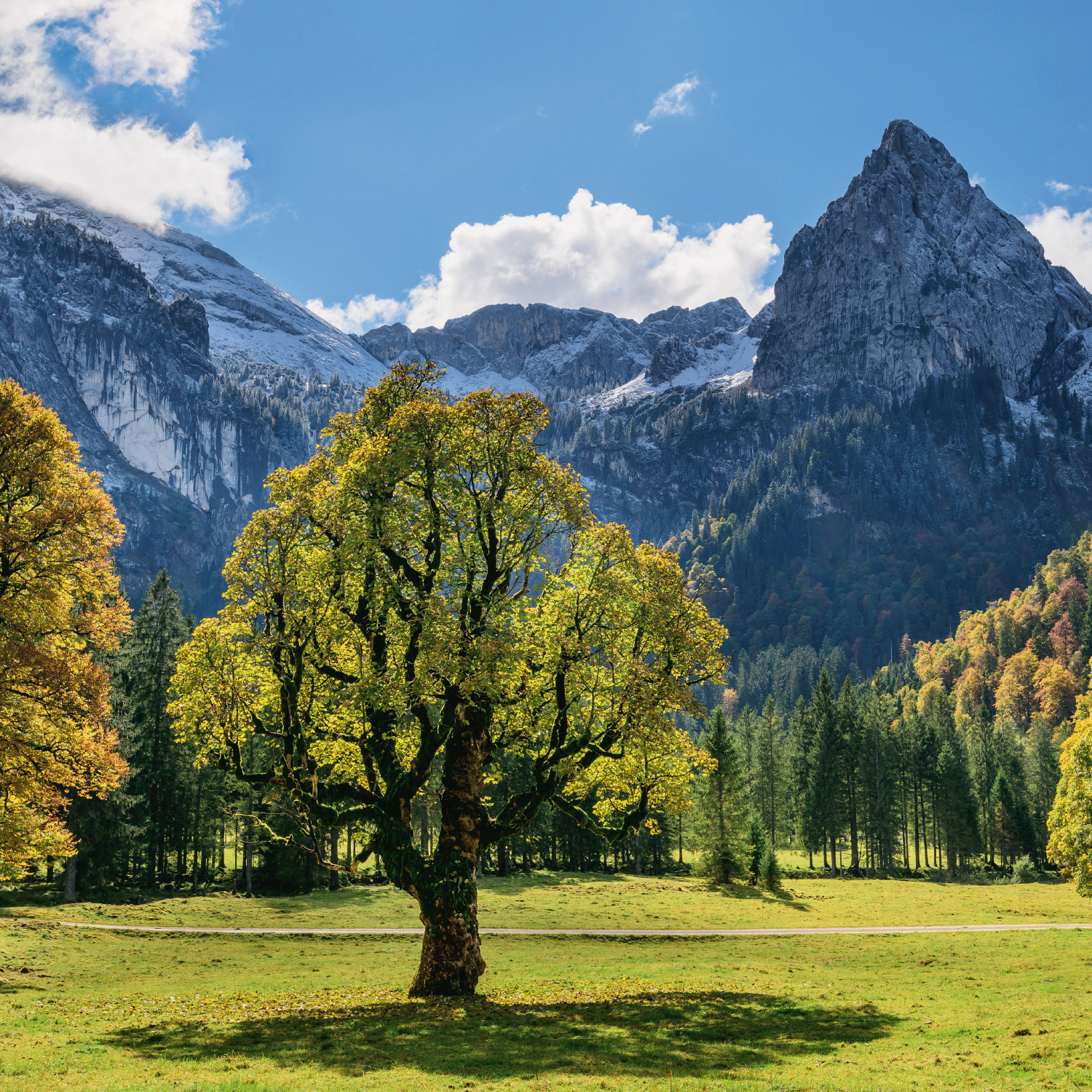 9783965913141_innenansicht_07 9783965913141_innenansicht_07.jpg