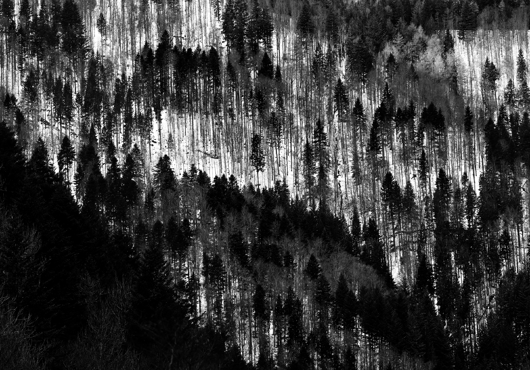 9783949070310_innenansicht_08 9783949070310_innenansicht_08.png