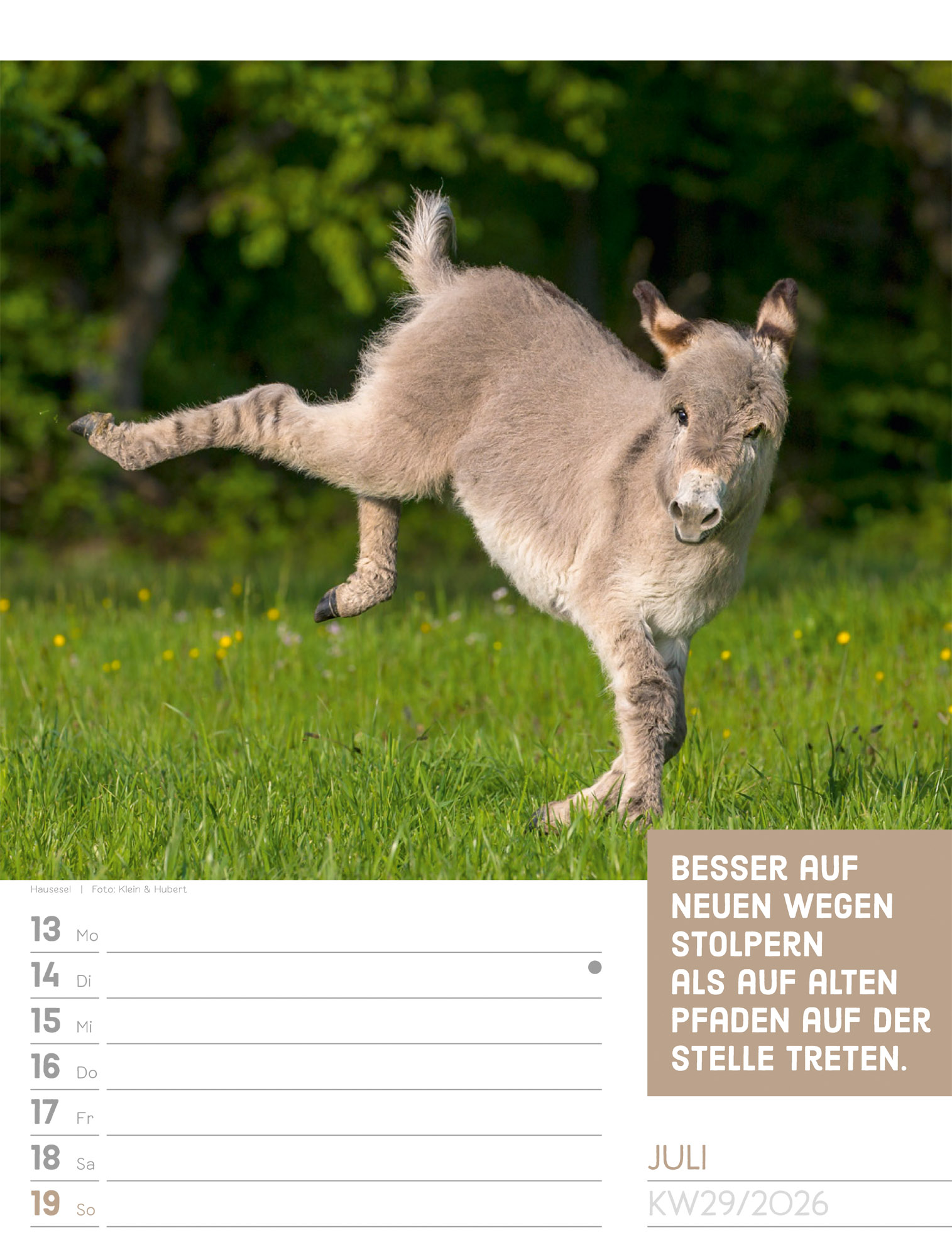 9783838426969_innenansicht_32.jpg