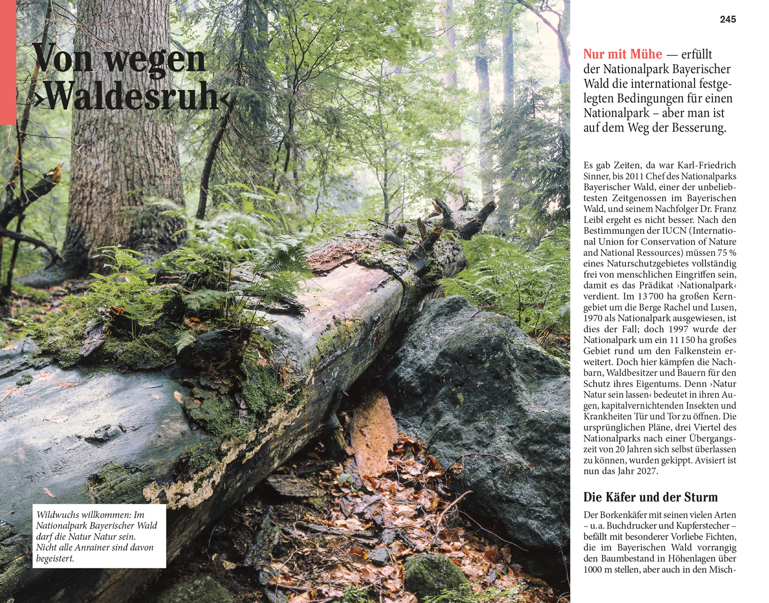 9783616020761_innenansicht_06 9783616020761_innenansicht_06.jpg