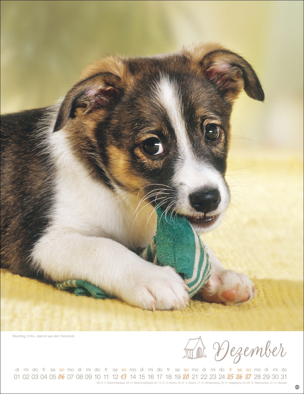 9783756410811_innenansicht_12 9783756410811_innenansicht_12.jpg