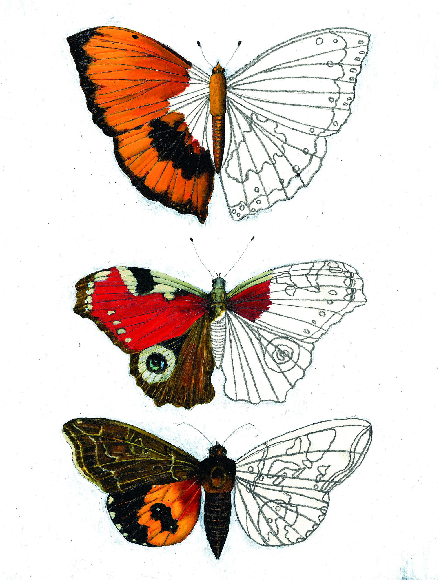 9783959392280_innenansicht_03 9783959392280_innenansicht_03.jpg