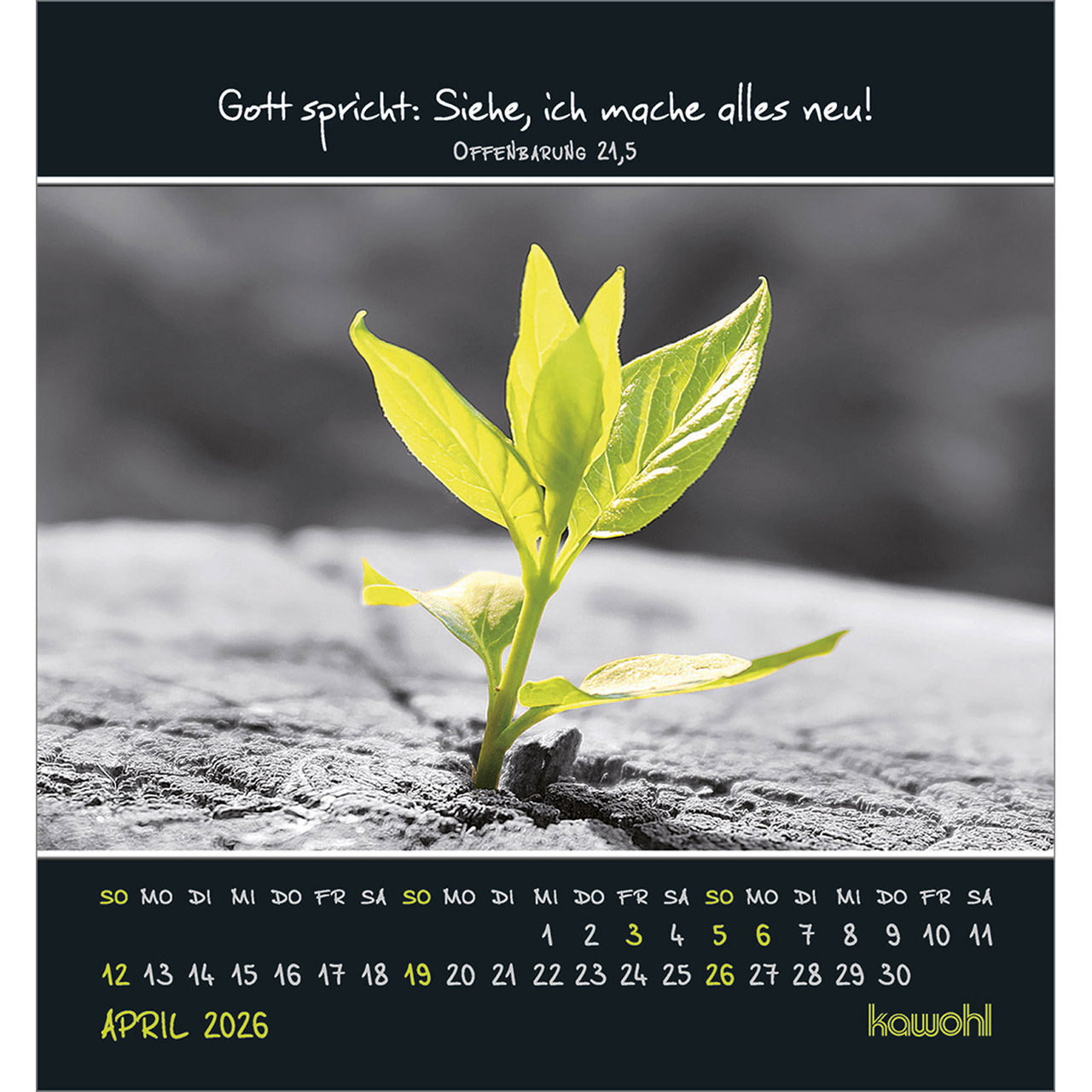 9783754881163_innenansicht_04.jpg