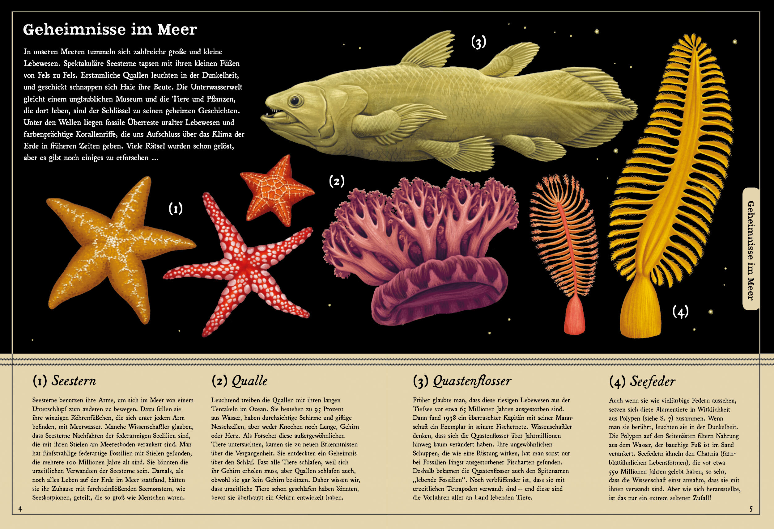 9783791375847_innenansicht_01 9783791375847_innenansicht_01.jpg