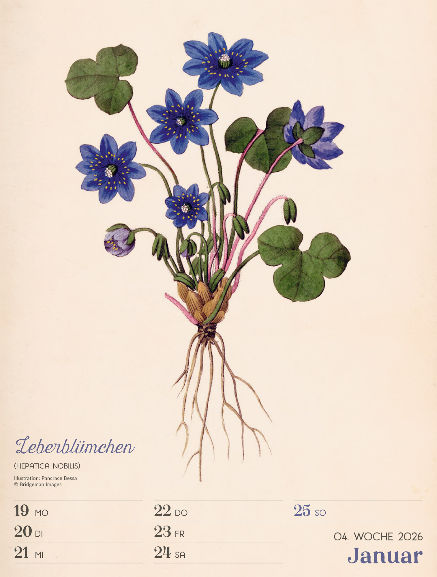 9783838436128_innenansicht_07 9783838436128_innenansicht_07.jpg