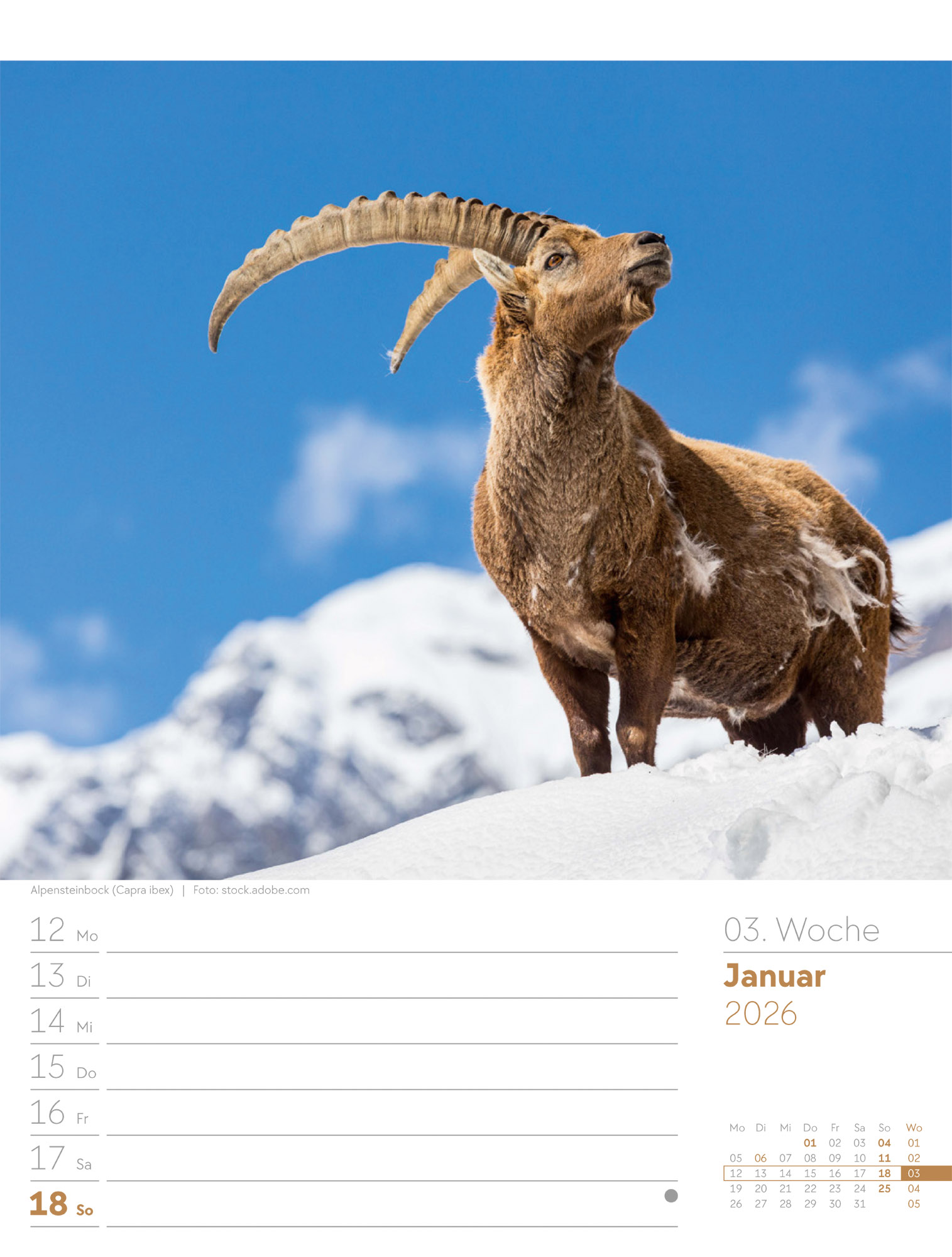 9783838436029_innenansicht_05 9783838436029_innenansicht_05.jpg