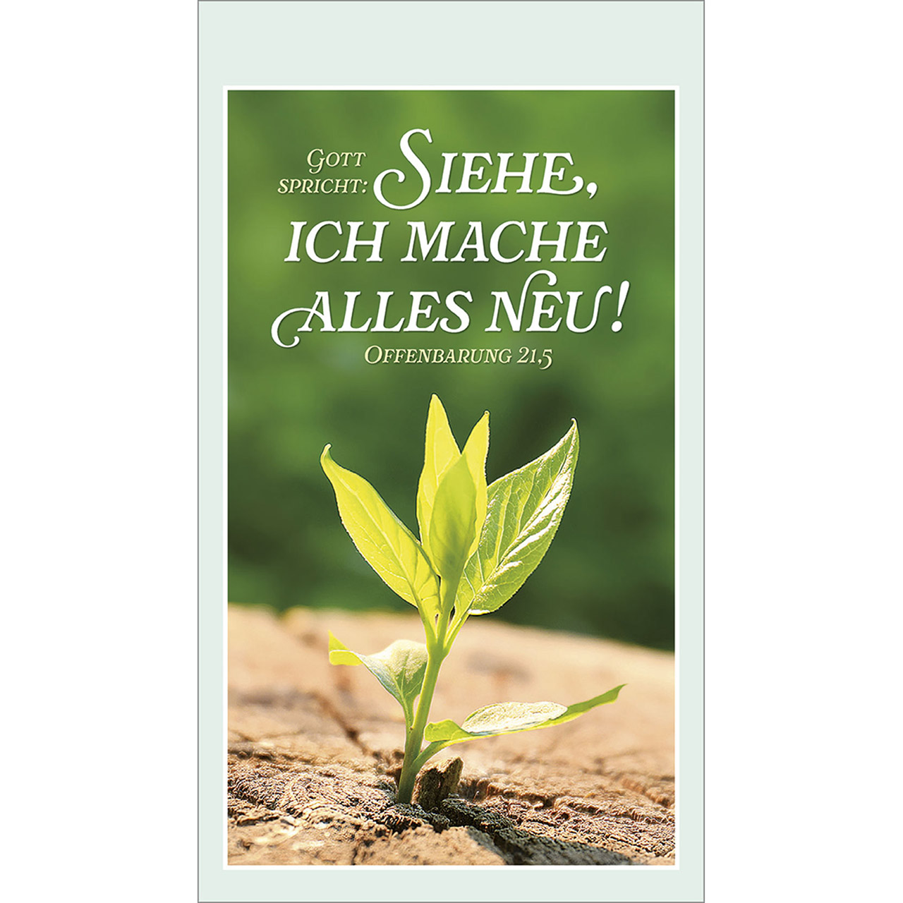 9783754892060_innenansicht_13.jpg