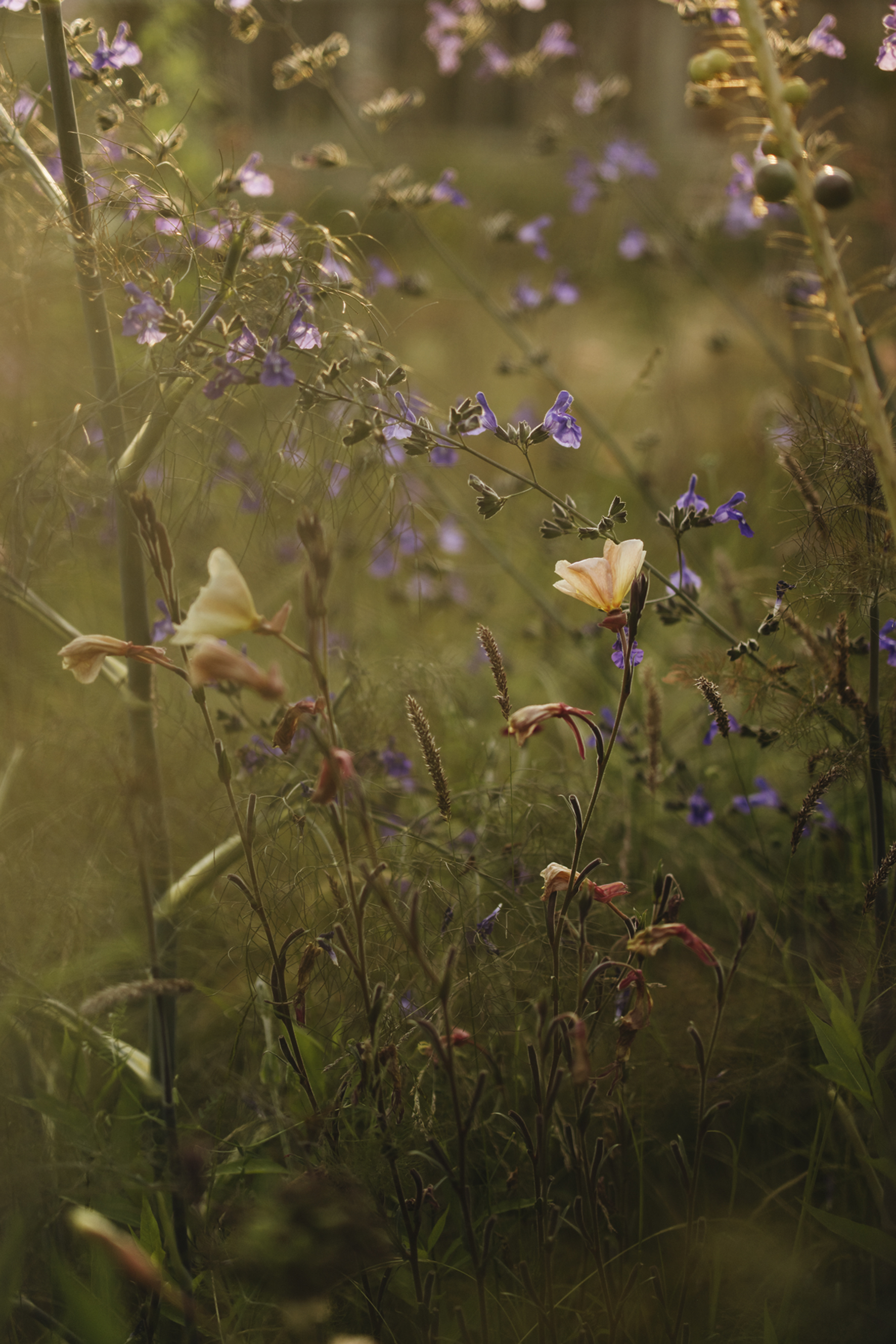 9783961717224_innenansicht_08 9783961717224_innenansicht_08.jpg