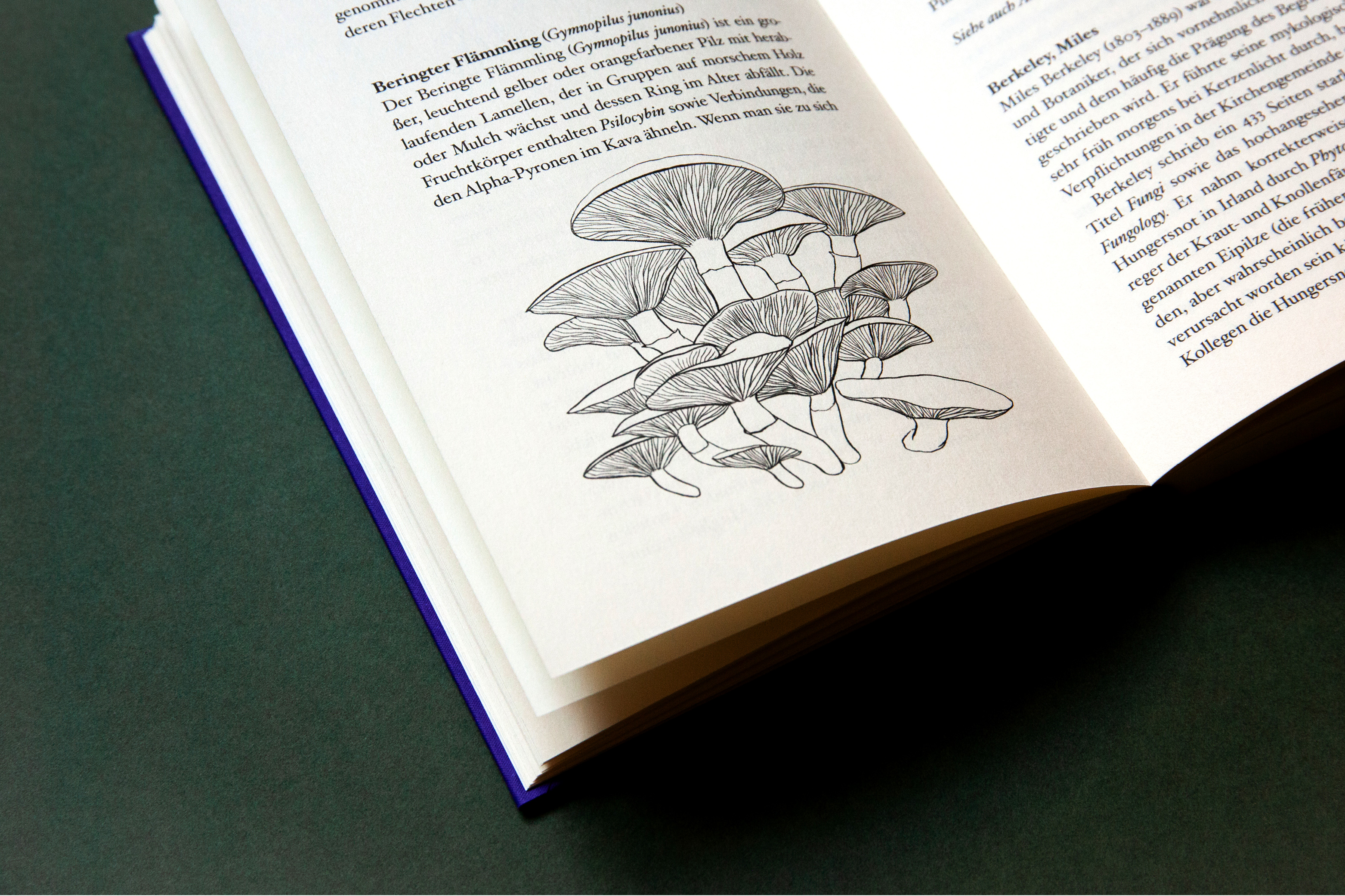 9783948722357_produktbild_07 9783948722357_produktbild_07.jpg