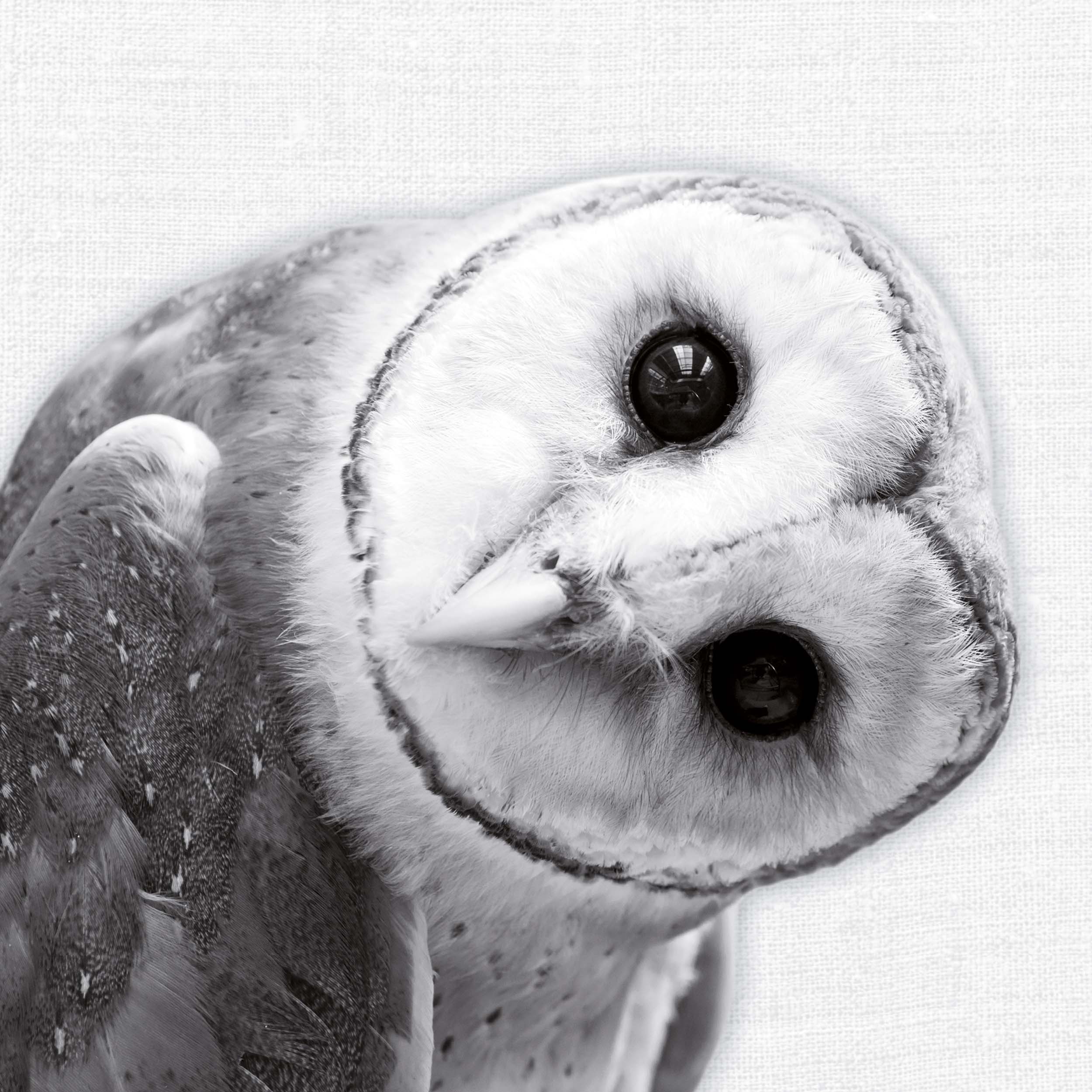 9783959295284_innenansicht_12 9783959295284_innenansicht_12.jpg