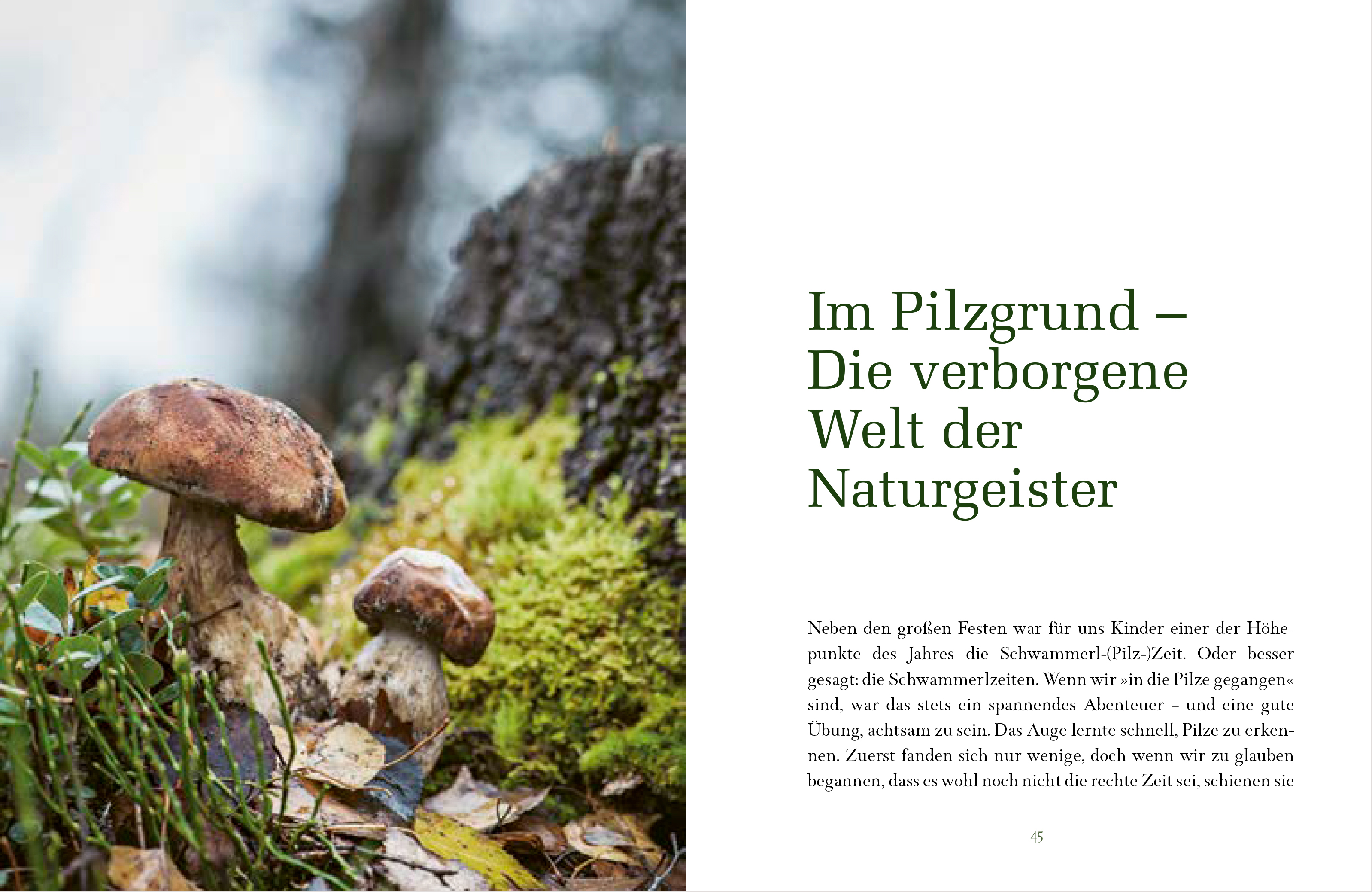 9783424631739_innenansicht_04.jpg