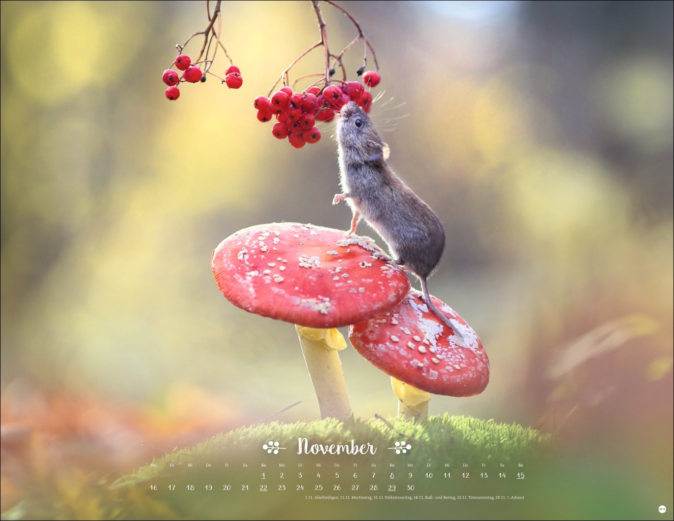 9783756411672_innenansicht_11 9783756411672_innenansicht_11.jpg