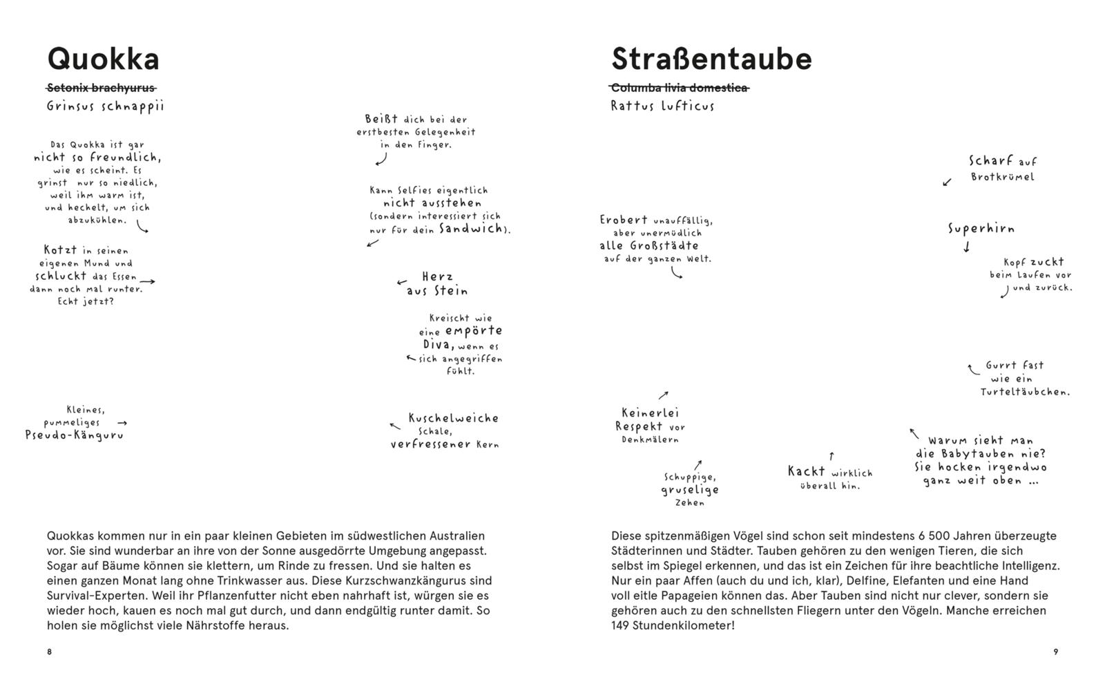 9783551251572_innenansicht_04.jpg