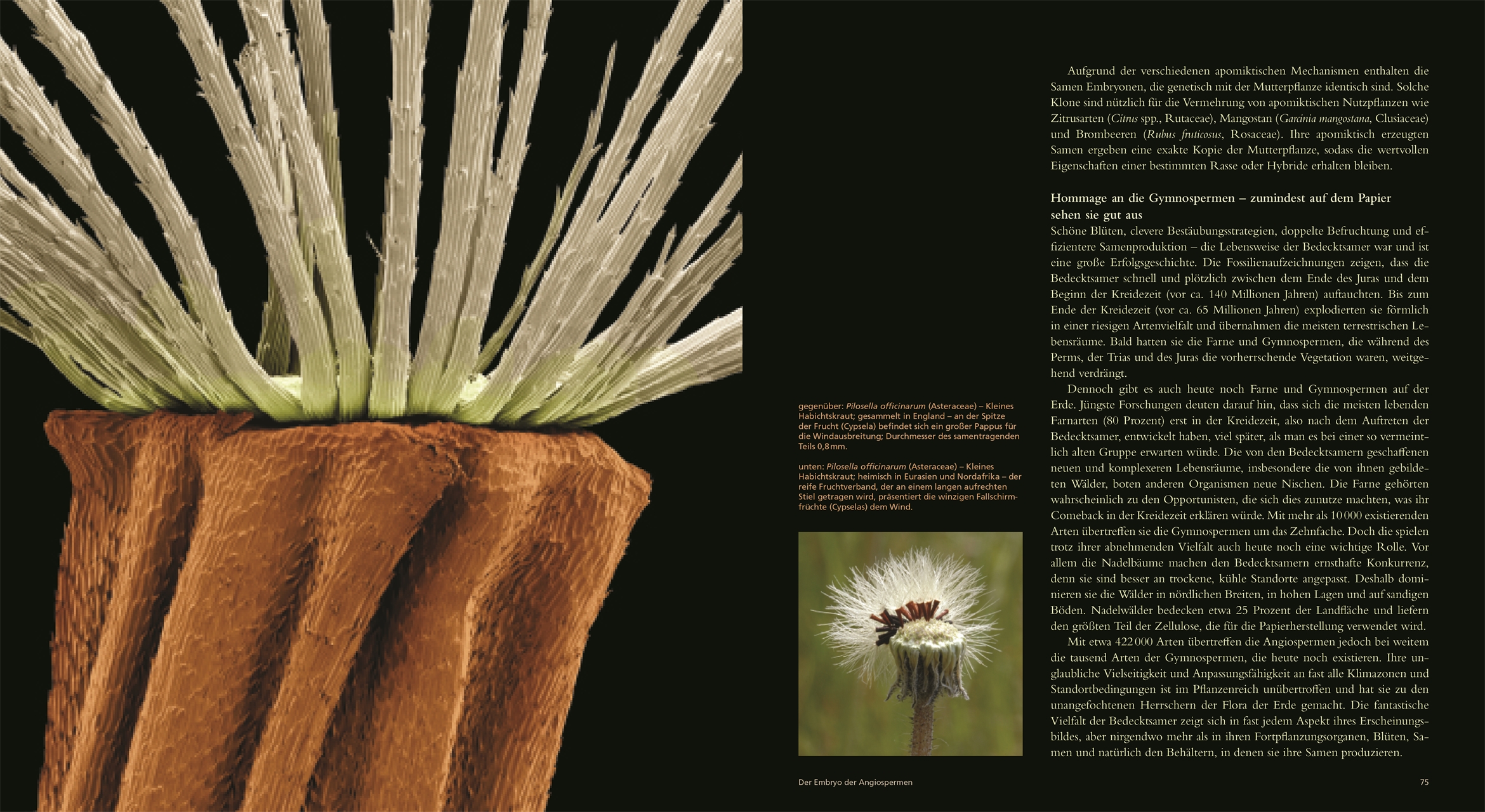 9783831049974_innenansicht_03 9783831049974_innenansicht_03.jpg