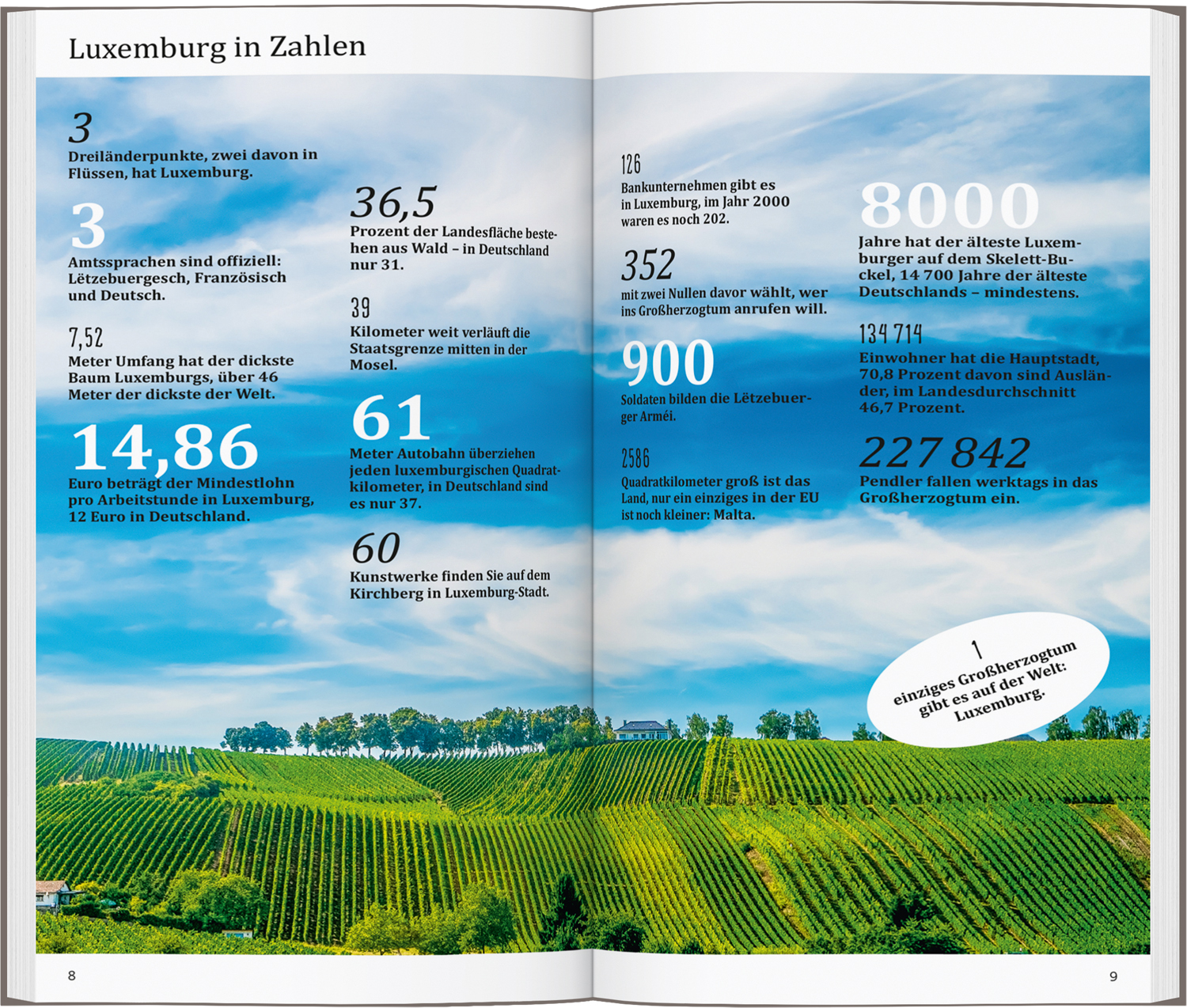 9783616001302_innenansicht_05.jpg