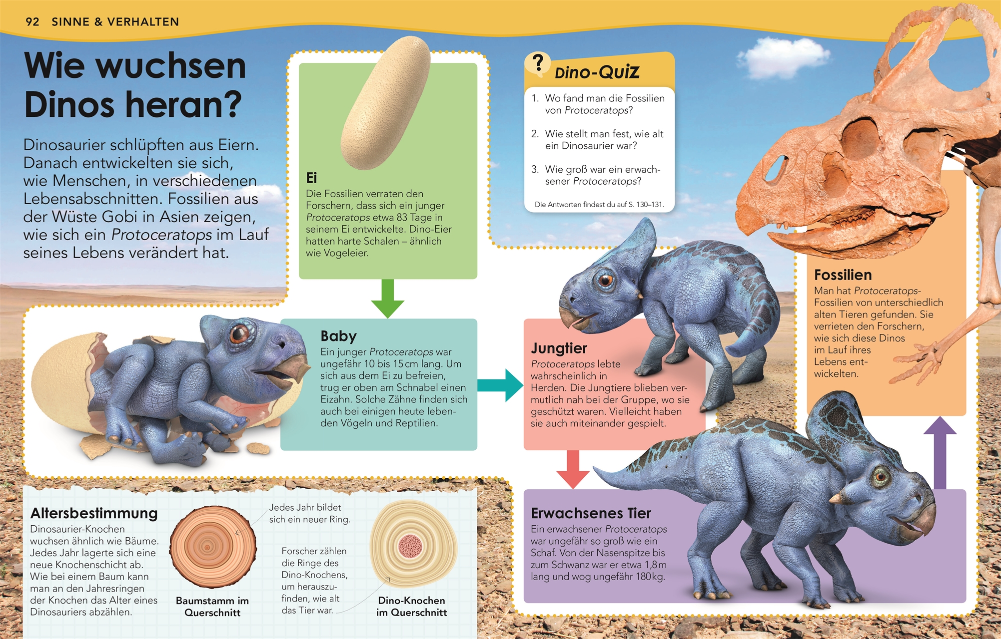 9783831040582_innenansicht_07.jpg