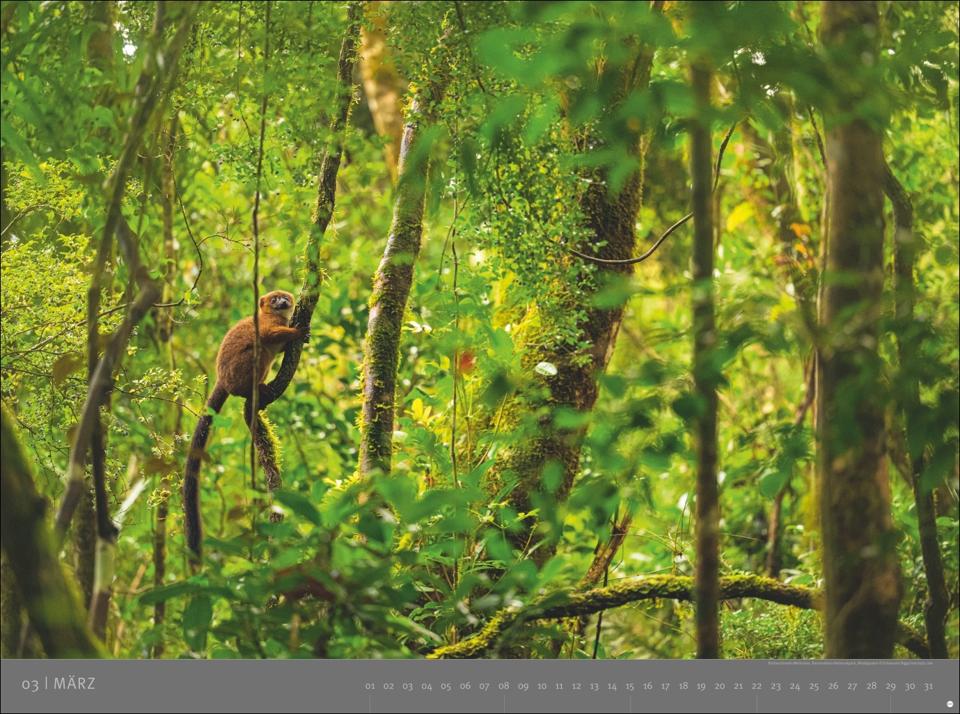 9783756410545_innenansicht_03 9783756410545_innenansicht_03.jpg