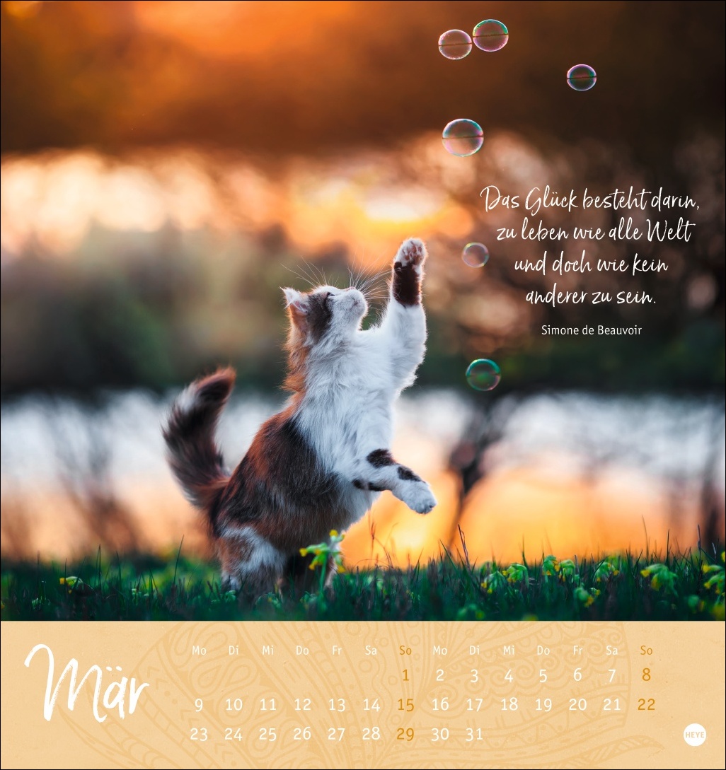 9783756410101_innenansicht_03 9783756410101_innenansicht_03.jpg