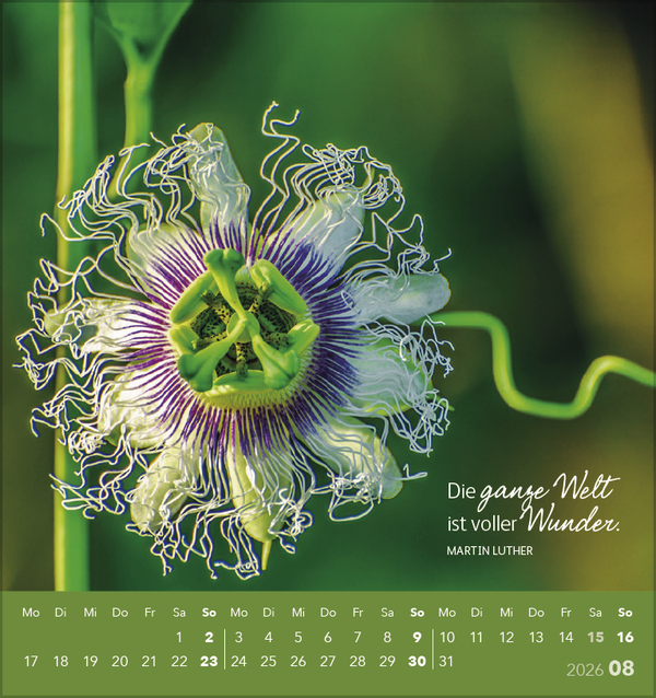 9783731886747_innenansicht_08 9783731886747_innenansicht_08.jpg