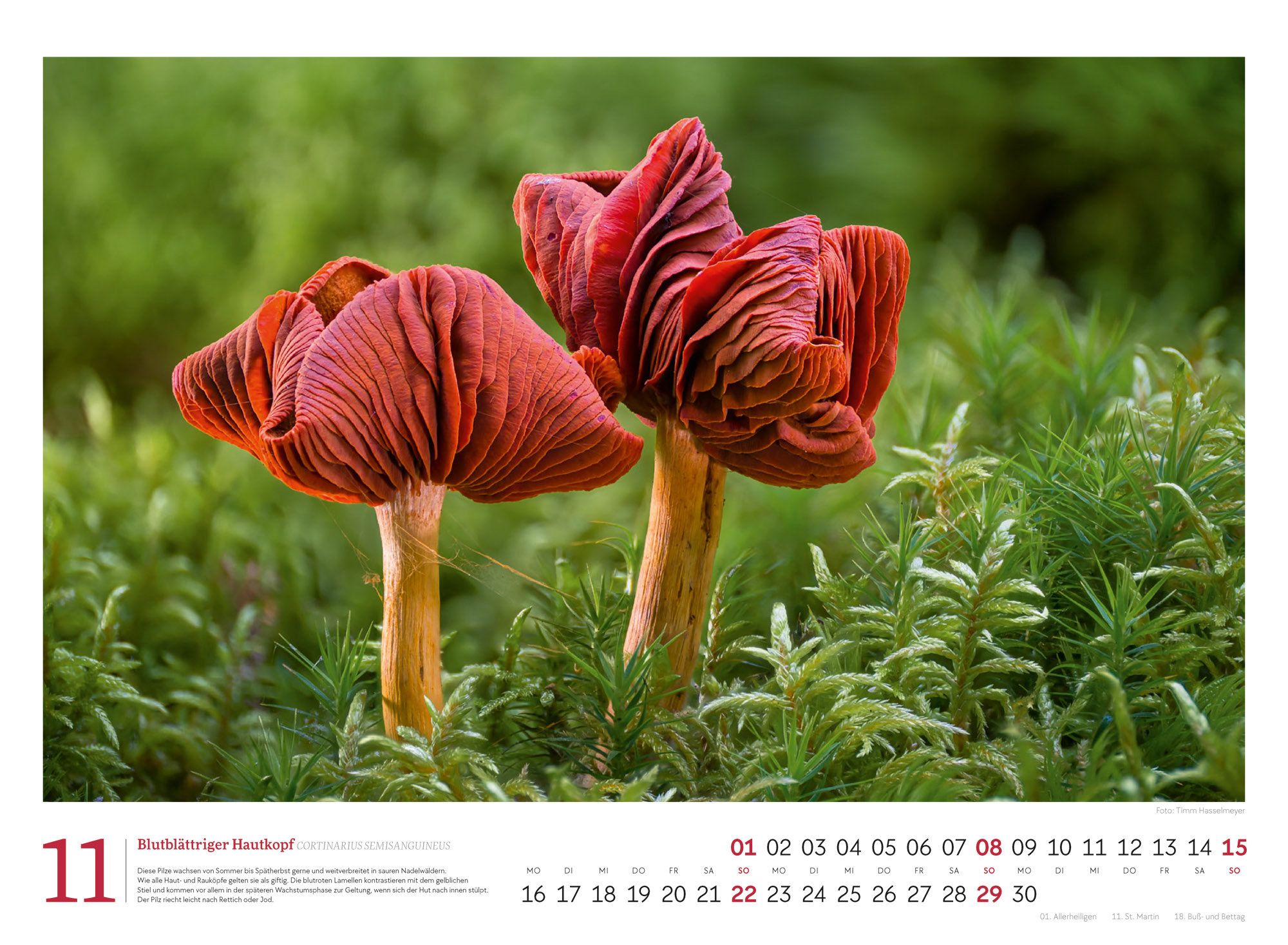 9783838436333_innenansicht_11 9783838436333_innenansicht_11.jpg